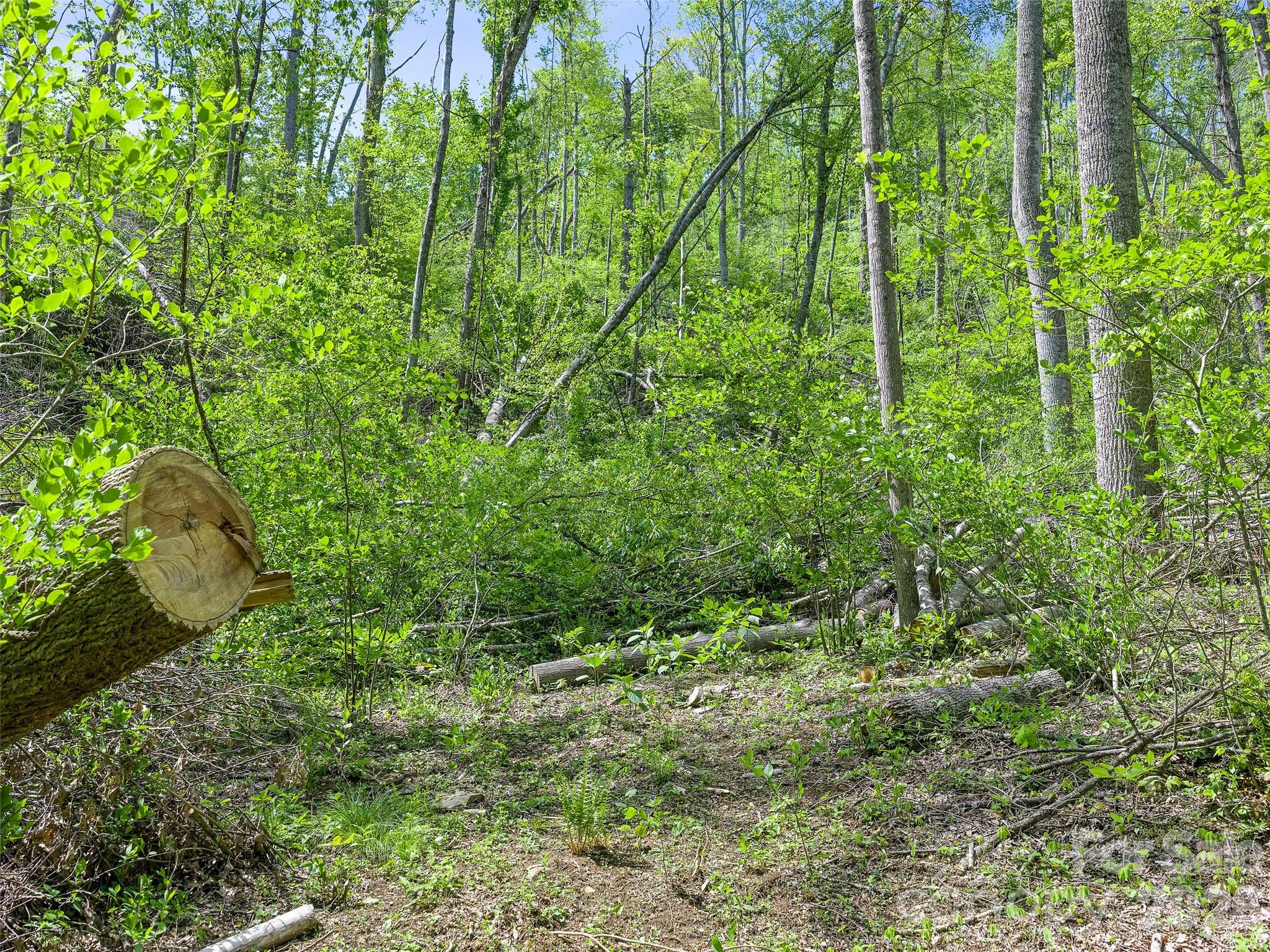 615 Fred Sparks Road — Bakersville
