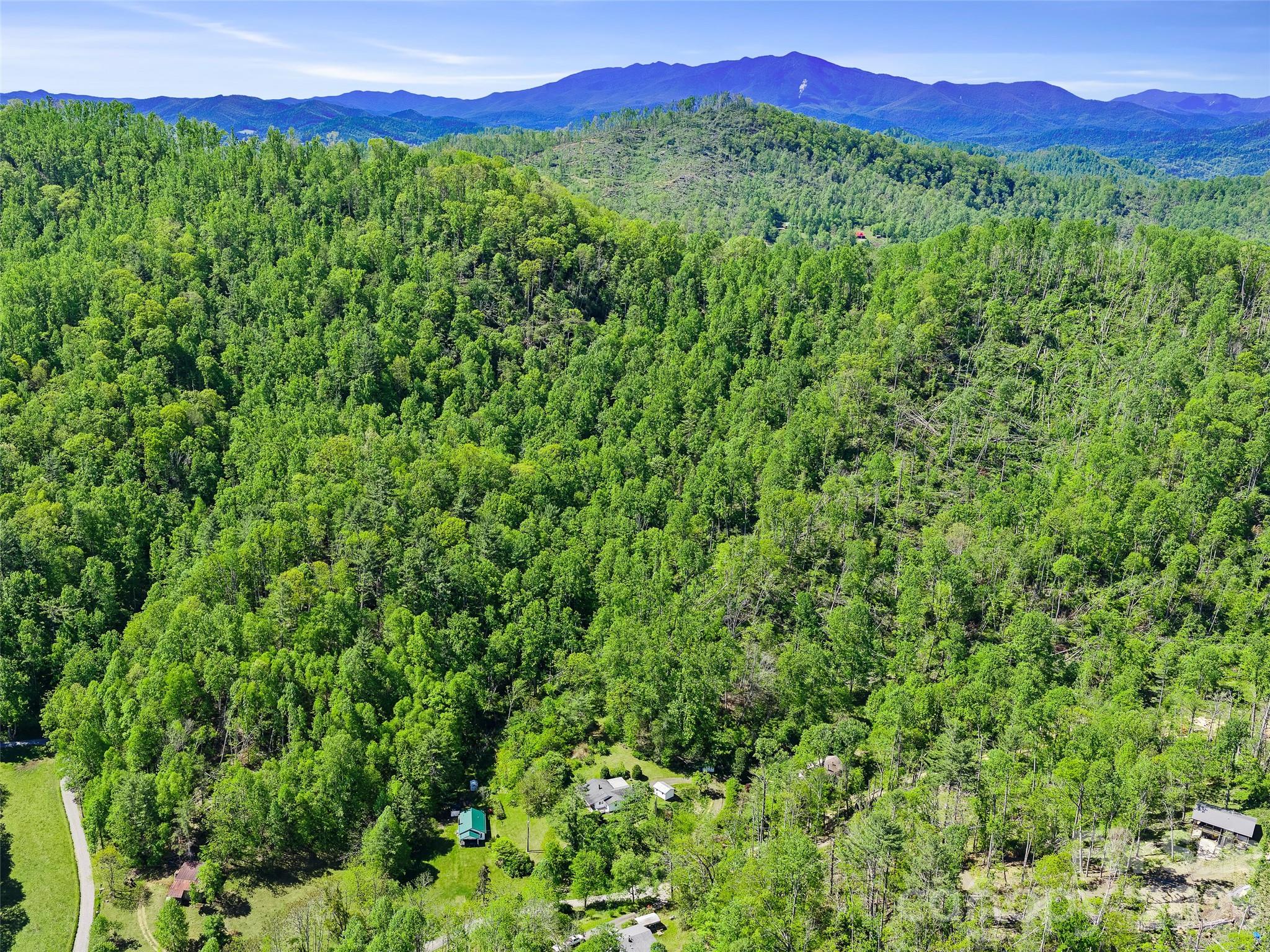 615 Fred Sparks Road — Bakersville