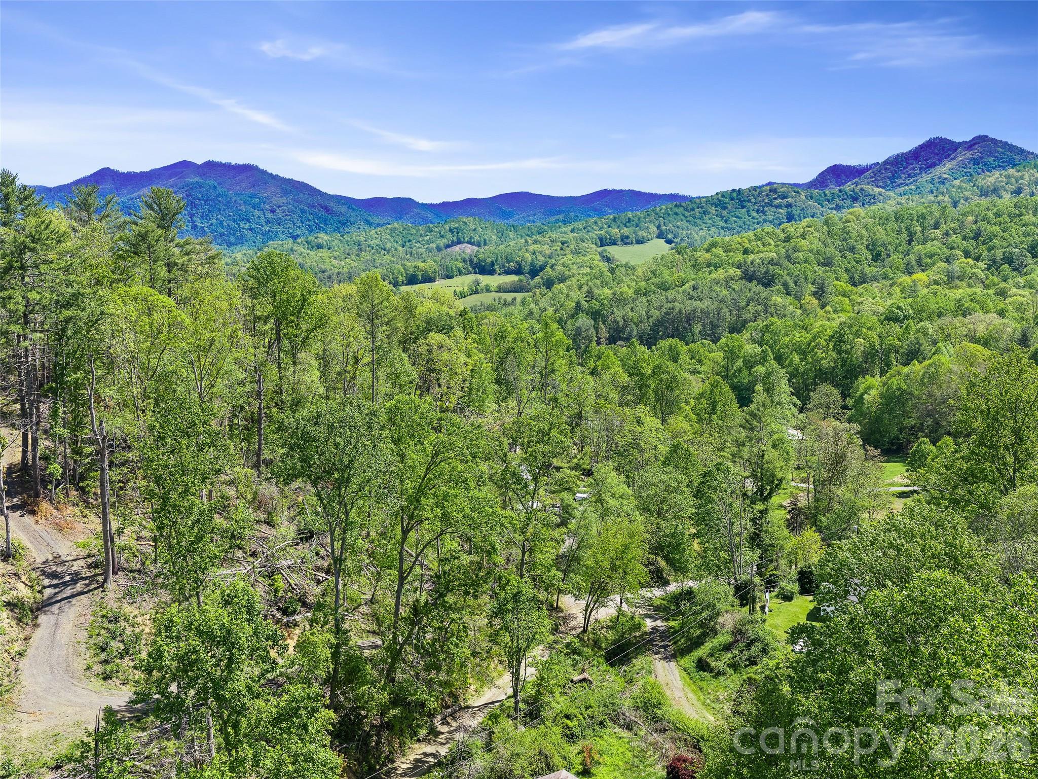 615 Fred Sparks Road — Bakersville