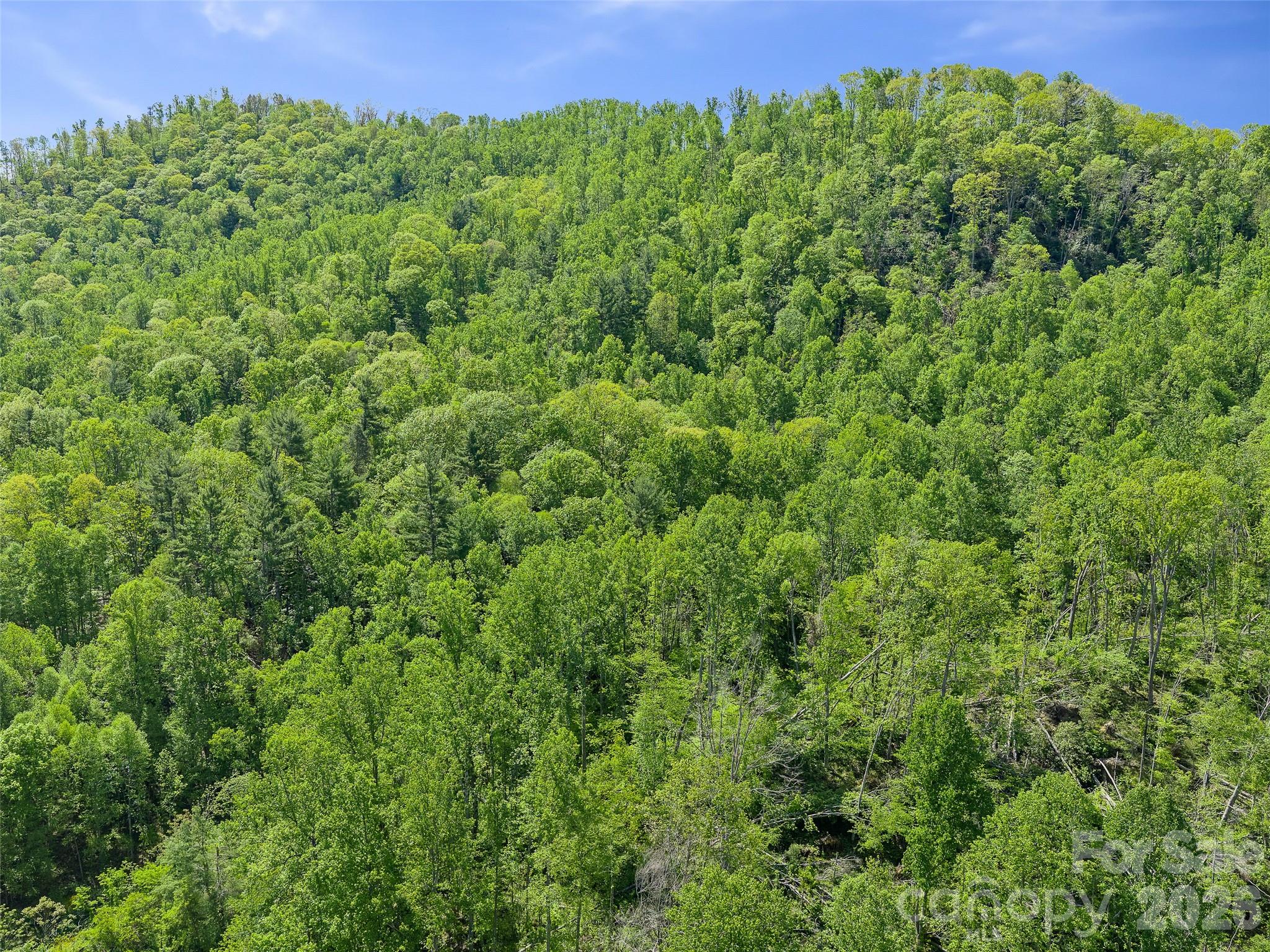 615 Fred Sparks Road — Bakersville