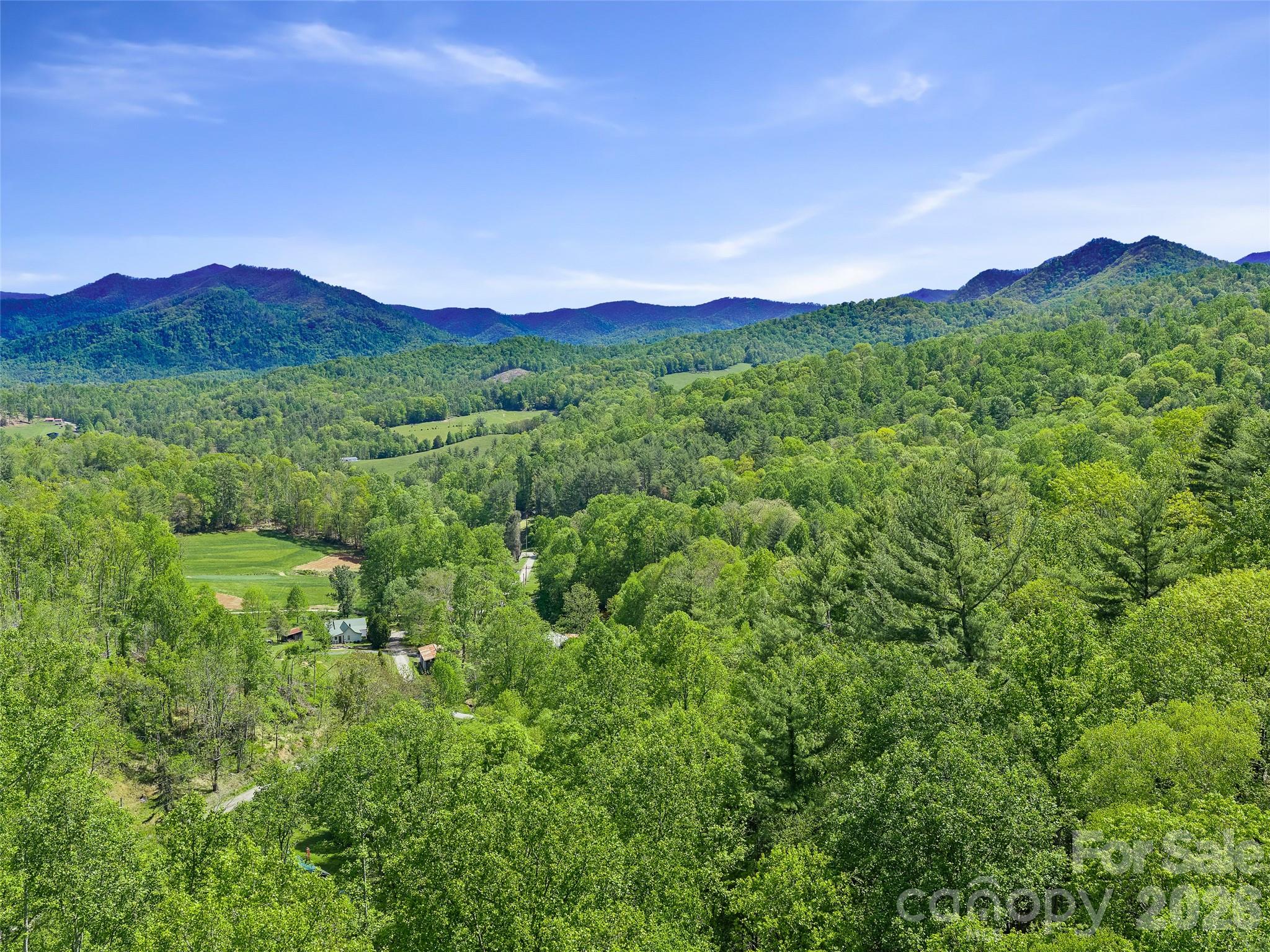 615 Fred Sparks Road — Bakersville