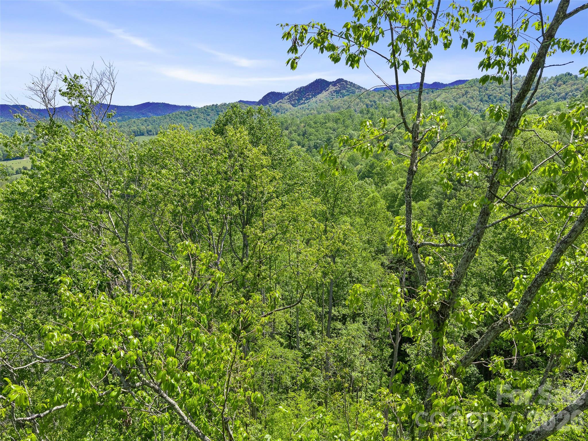 615 Fred Sparks Road — Bakersville