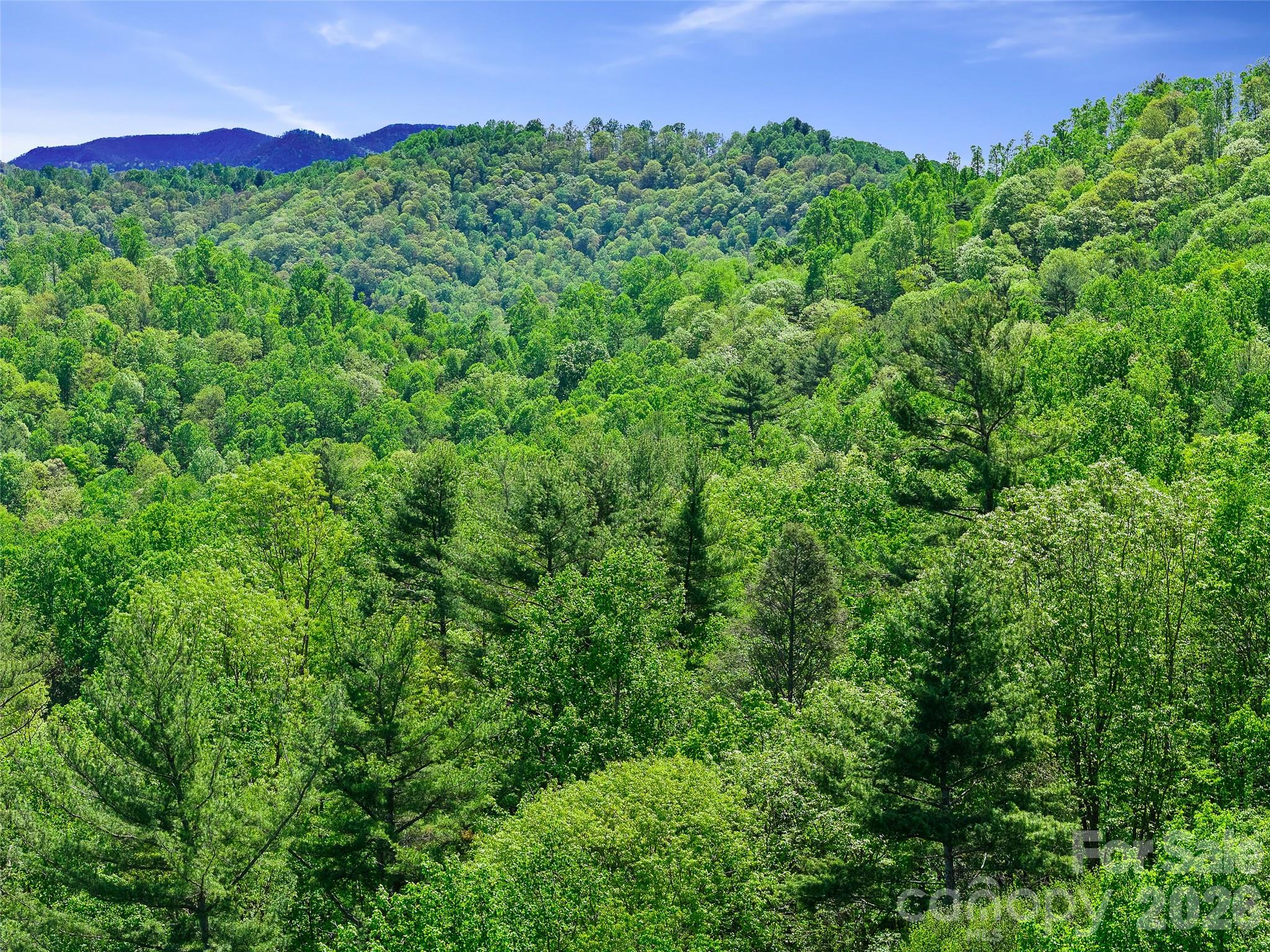615 Fred Sparks Road — Bakersville