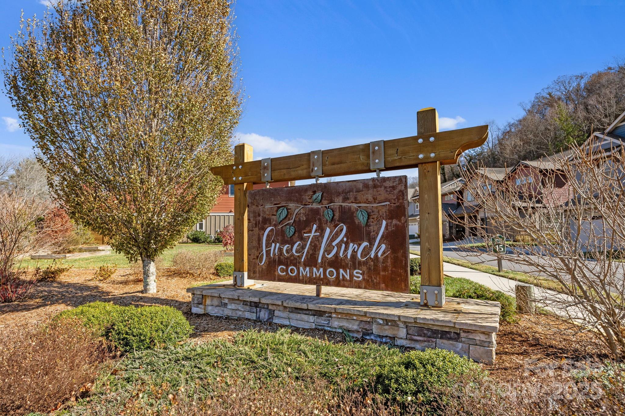 513 Sweet Birch Park Lane — Black Mountain