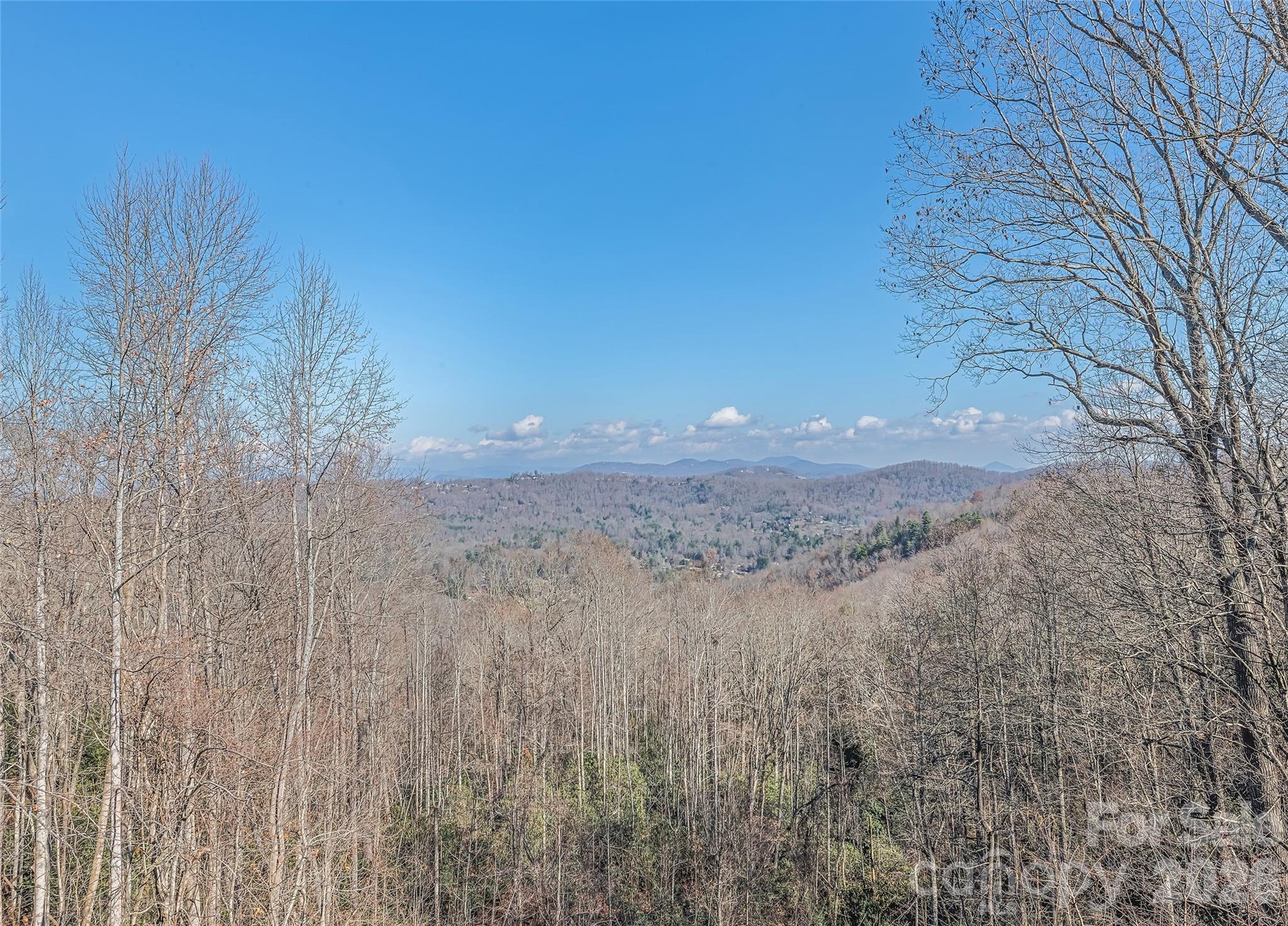1350 Davis Mountain Road — Hendersonville