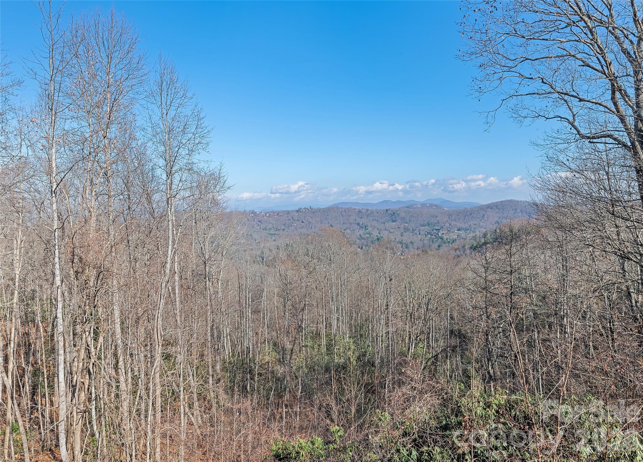 1350 Davis Mountain Road — Hendersonville