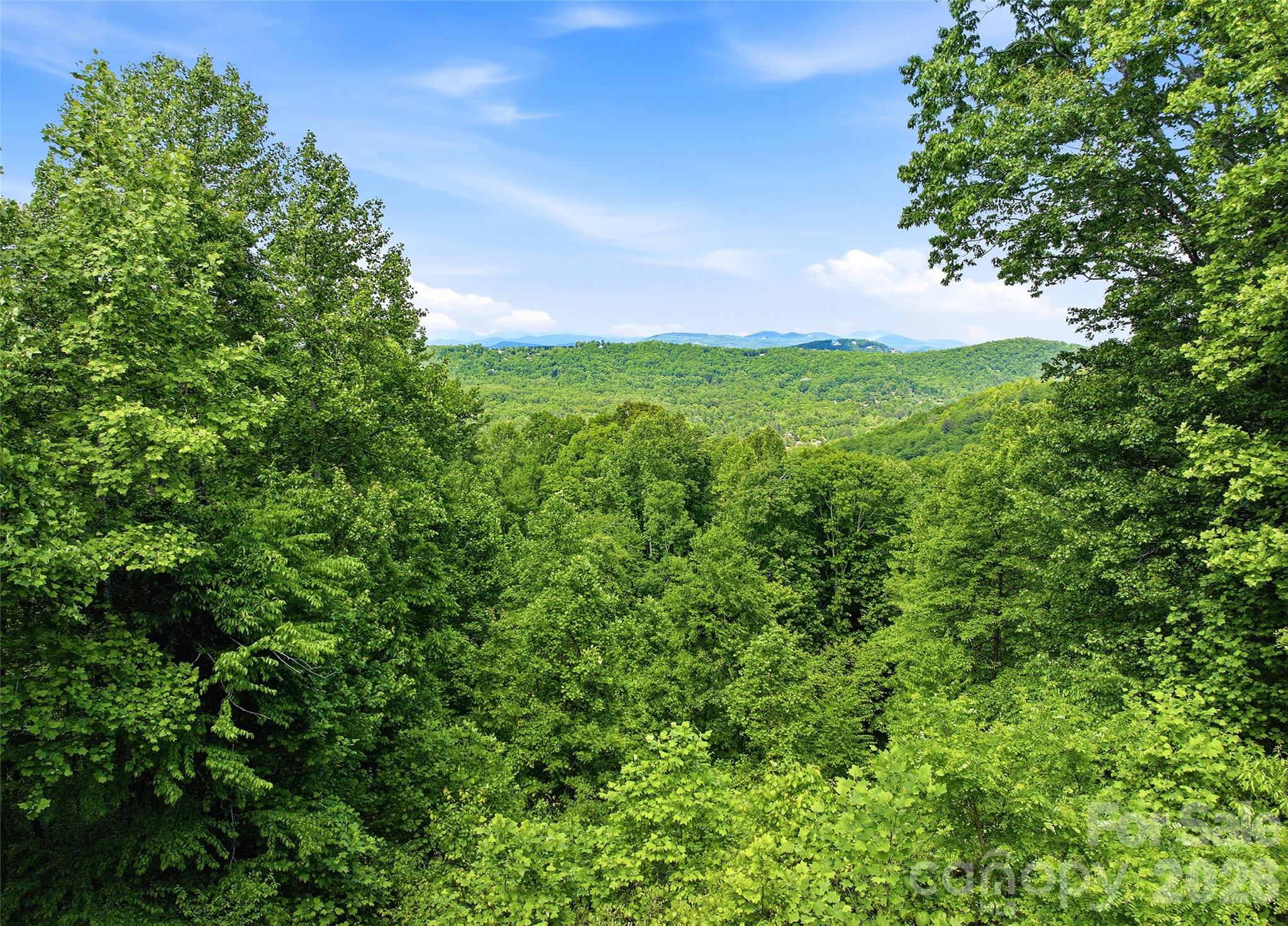 1350 Davis Mountain Road — Hendersonville