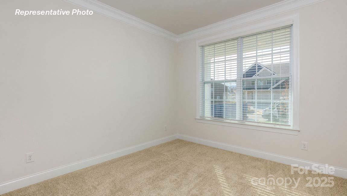 3121 Spring Iris Drive — Denver