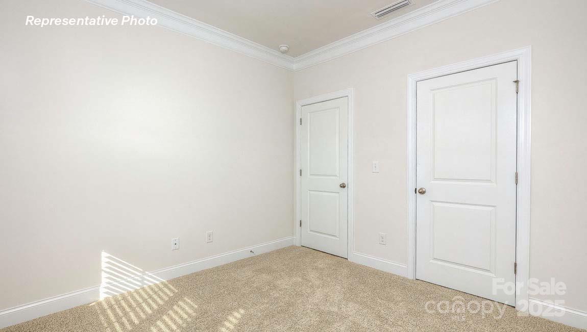 3121 Spring Iris Drive — Denver