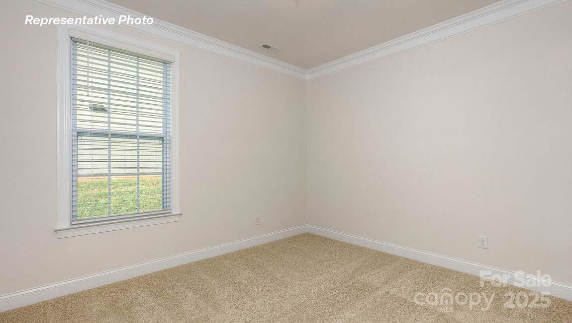 3121 Spring Iris Drive — Denver