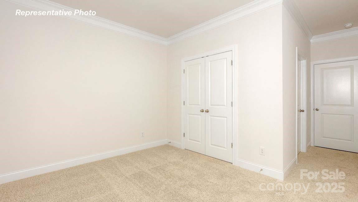 3121 Spring Iris Drive — Denver