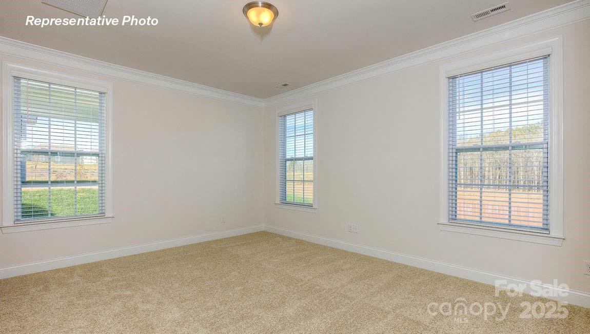 3121 Spring Iris Drive — Denver