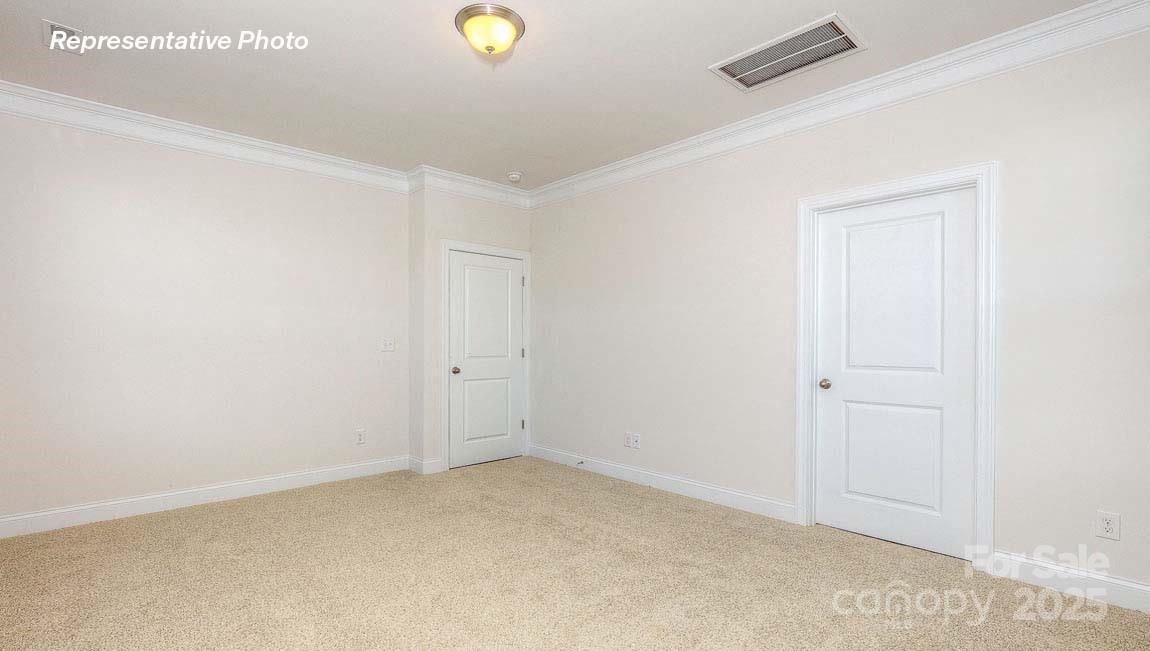 3121 Spring Iris Drive — Denver