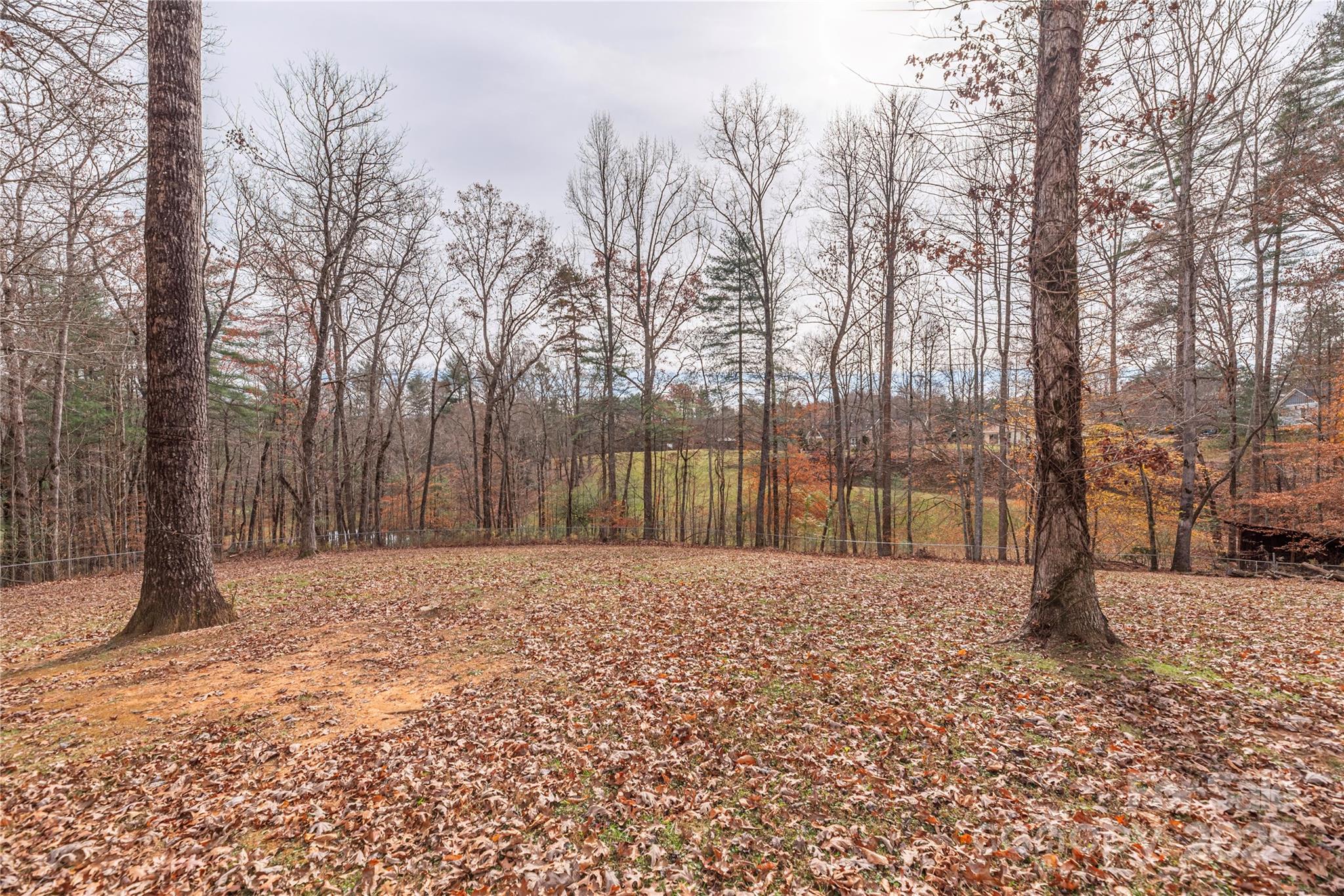 236 Pole Miller Extension — Brevard