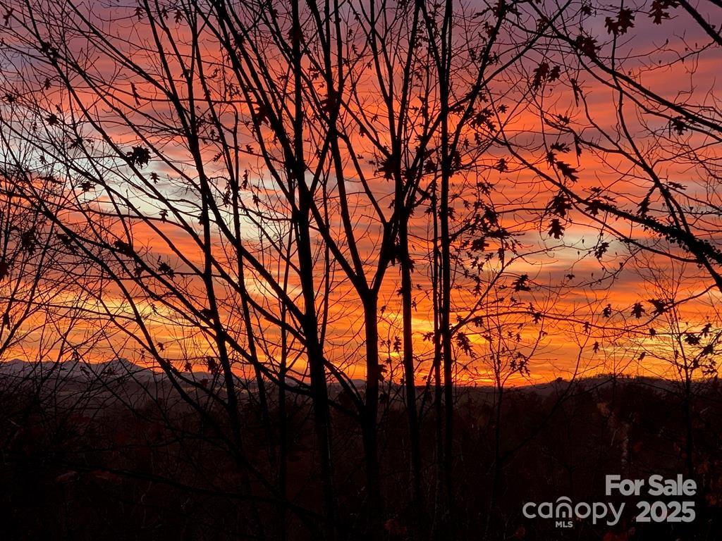 180 High Road Overlook — Hendersonville