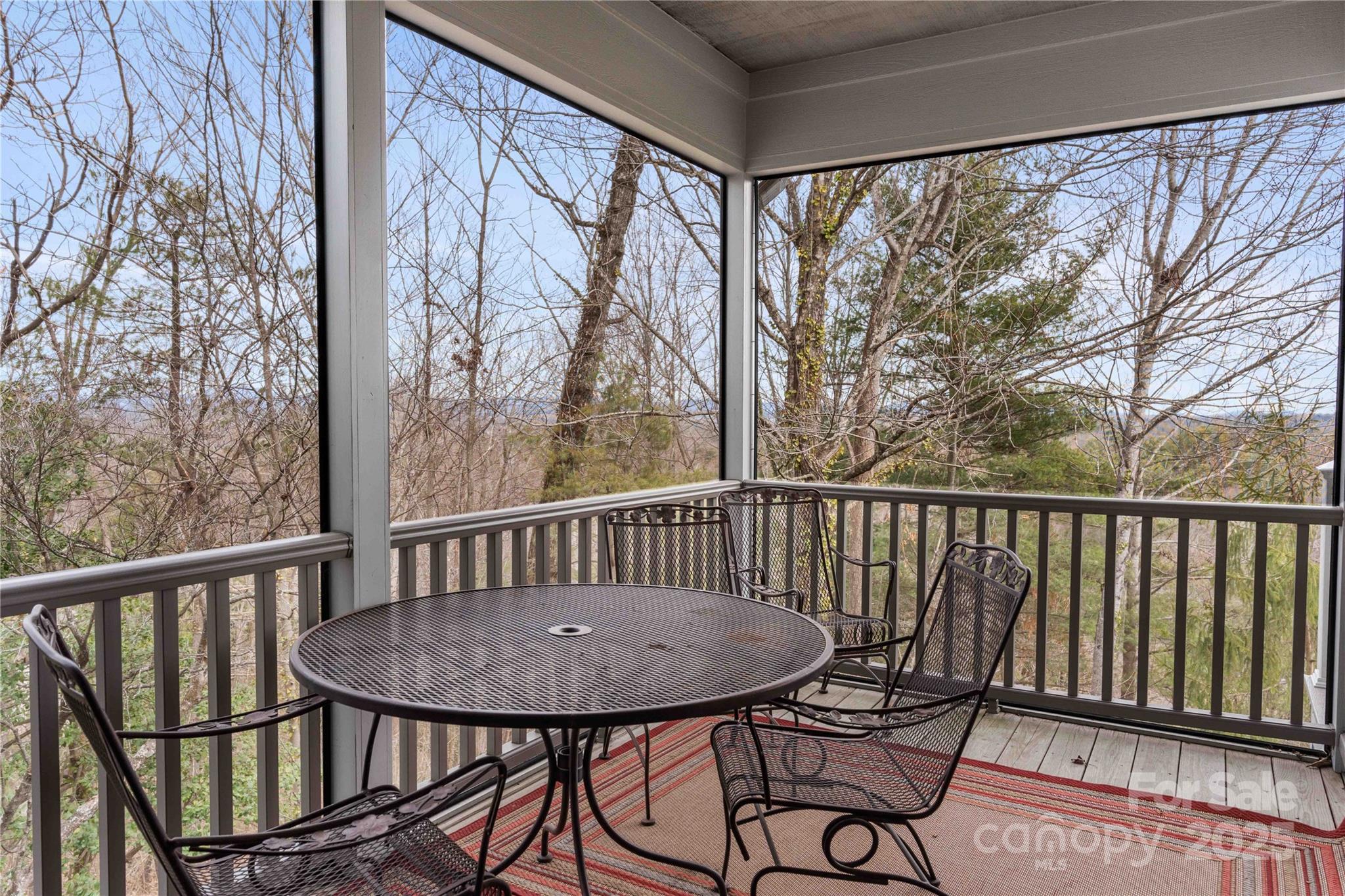 180 High Road Overlook — Hendersonville