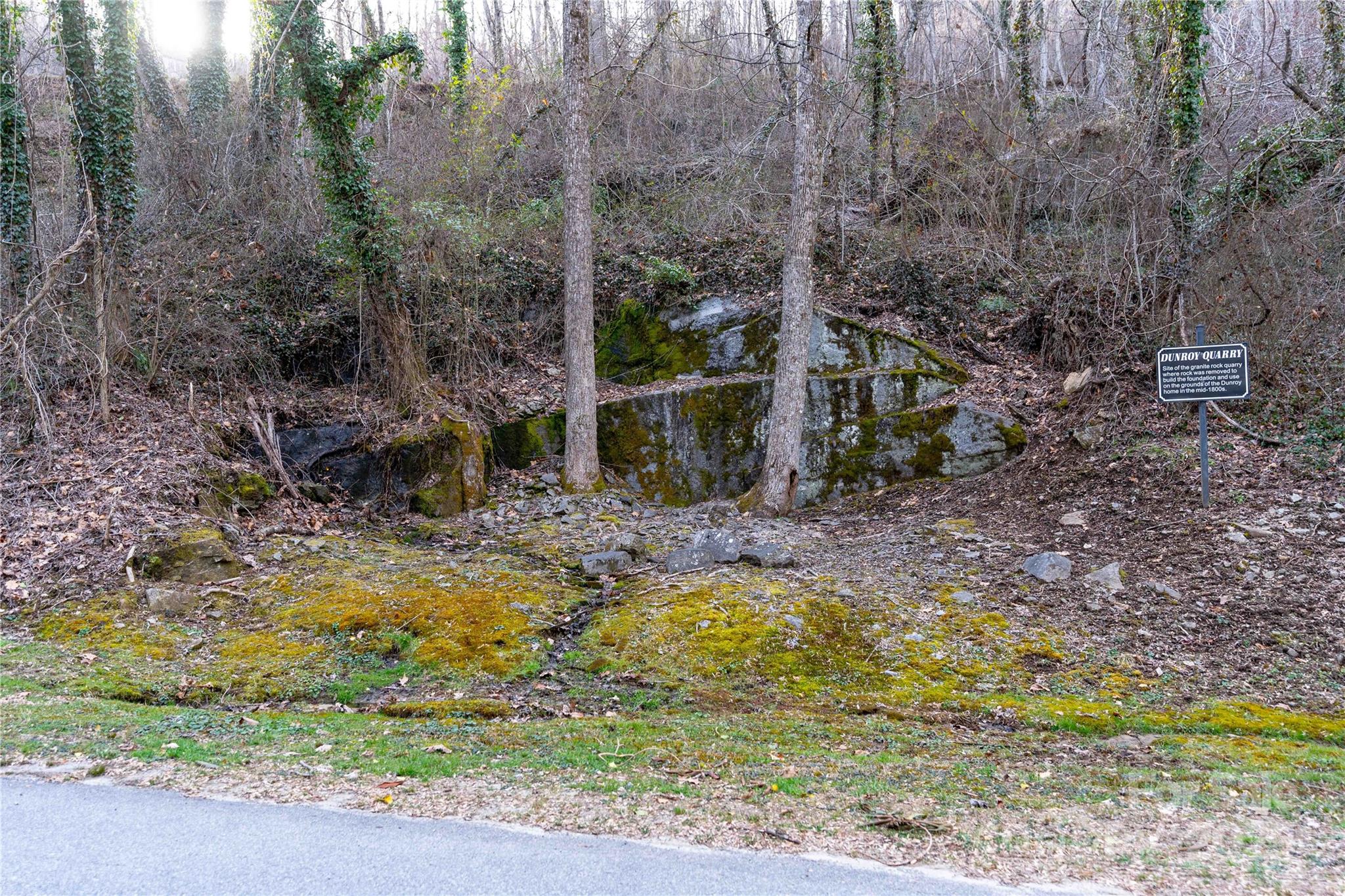 180 High Road Overlook — Hendersonville