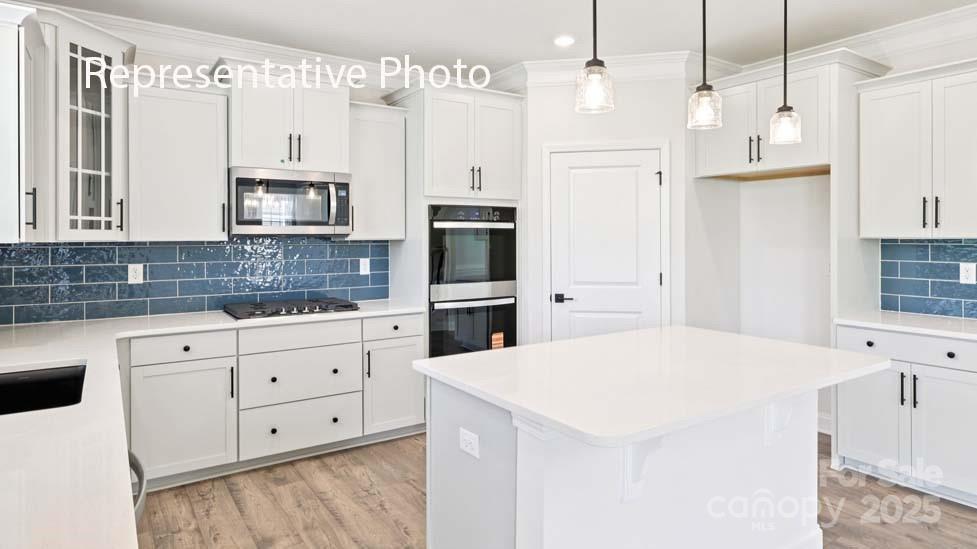 3019 Eclipse Court — Indian Trail