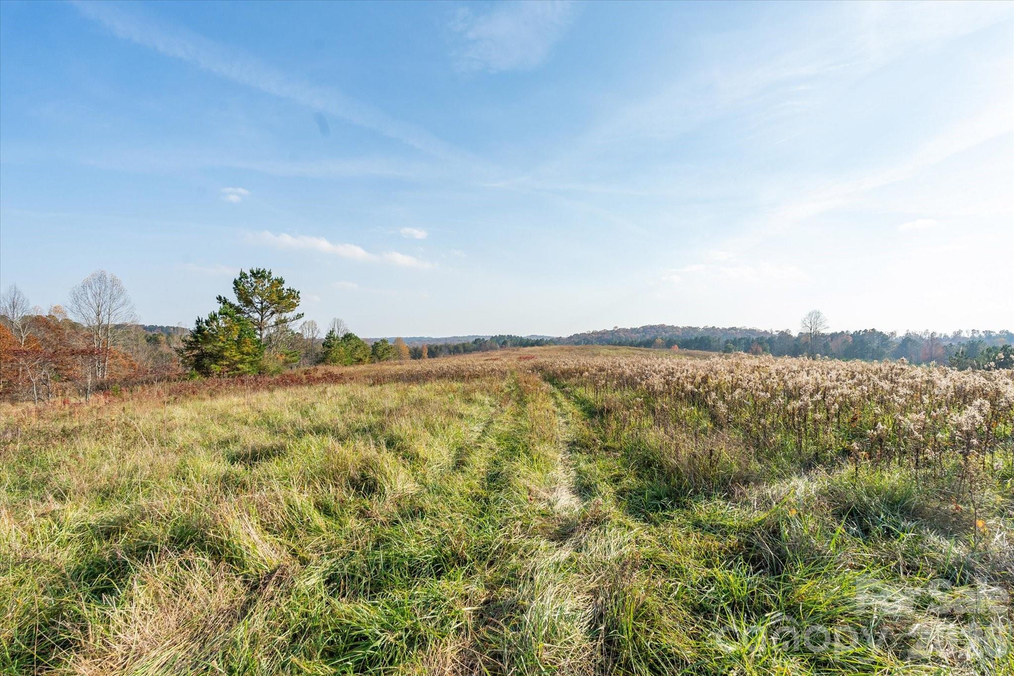 1888 Pea Ridge Road — Mill Spring