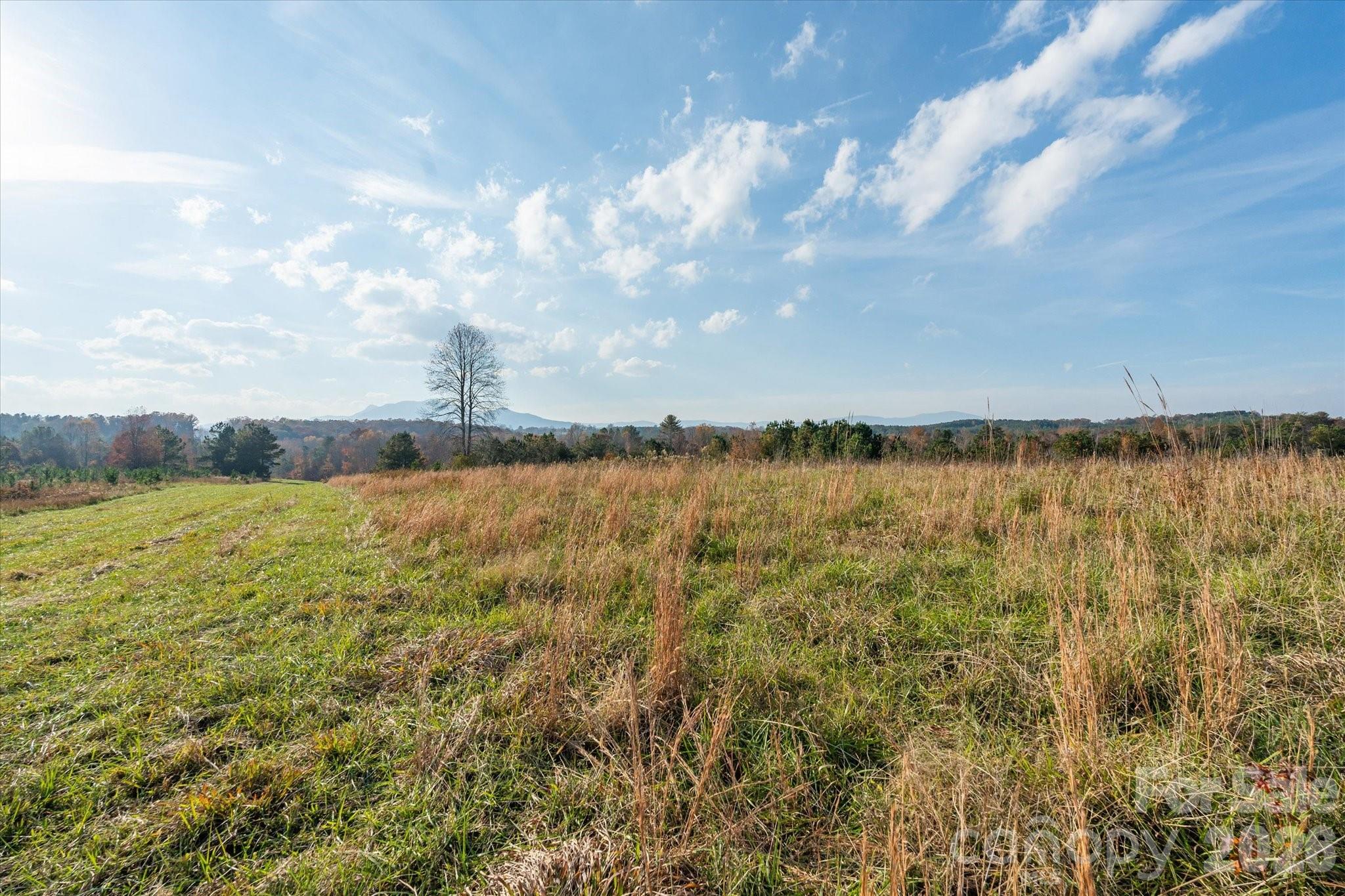1888 Pea Ridge Road — Mill Spring