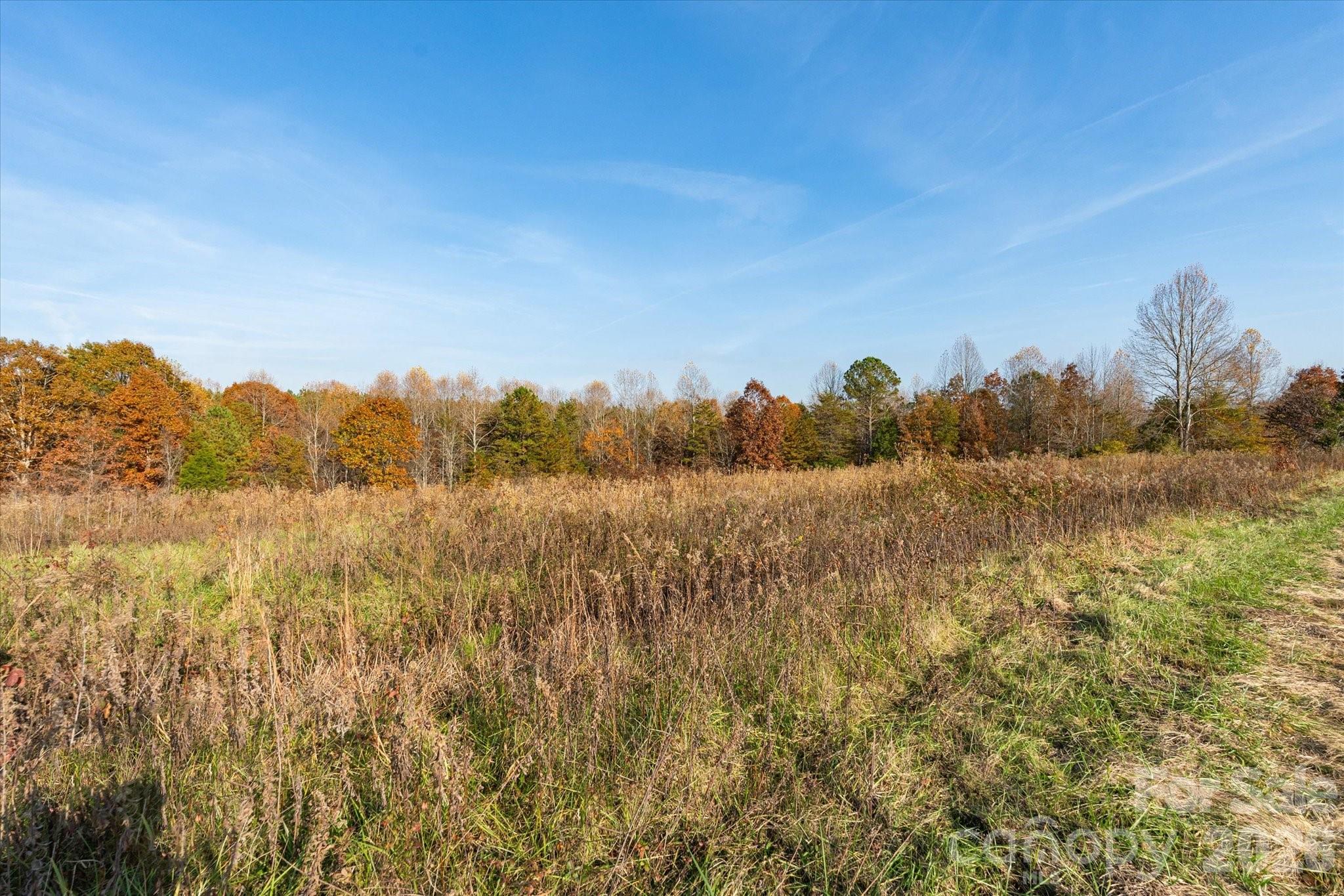 1888 Pea Ridge Road — Mill Spring