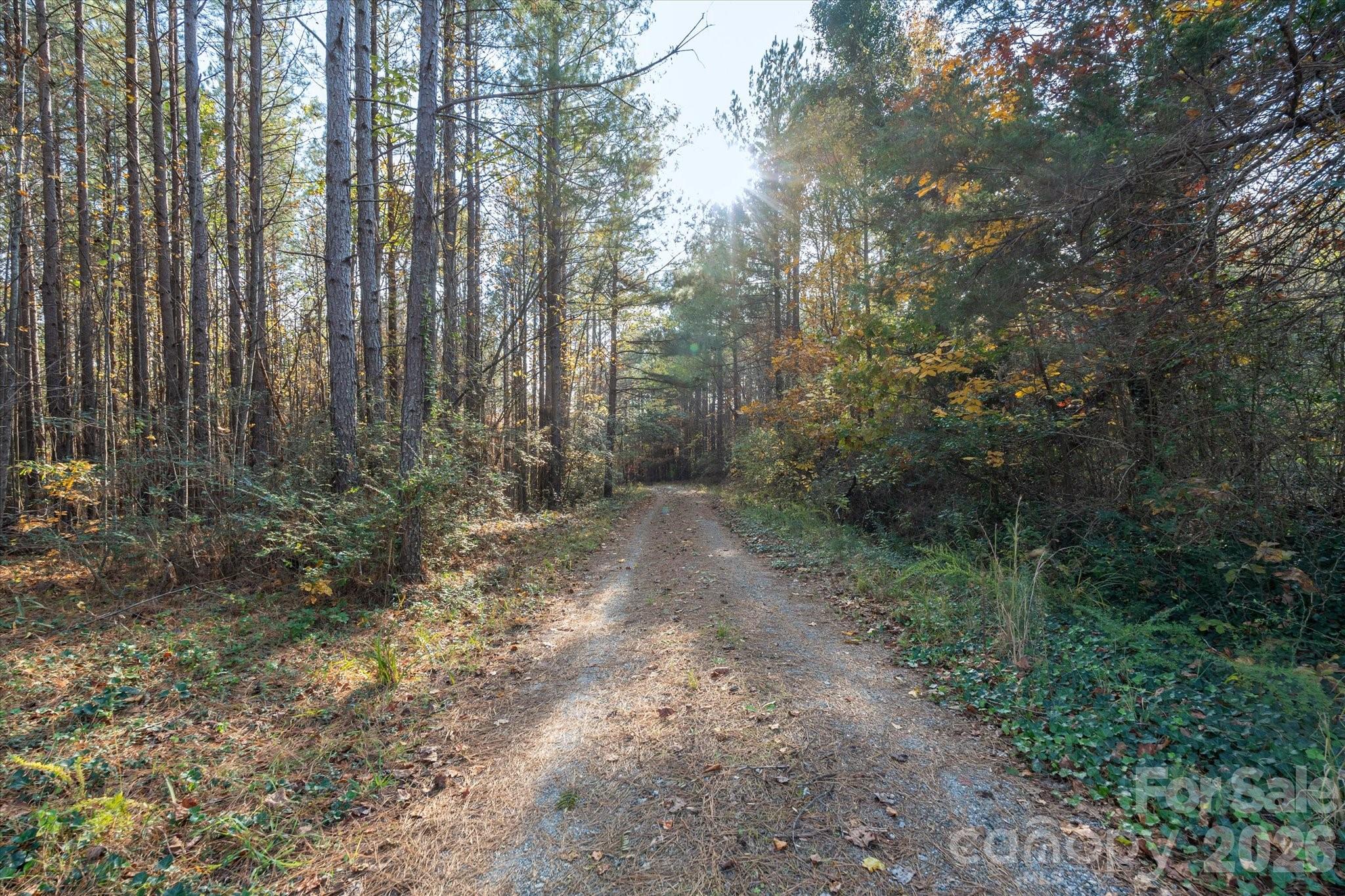 1888 Pea Ridge Road — Mill Spring