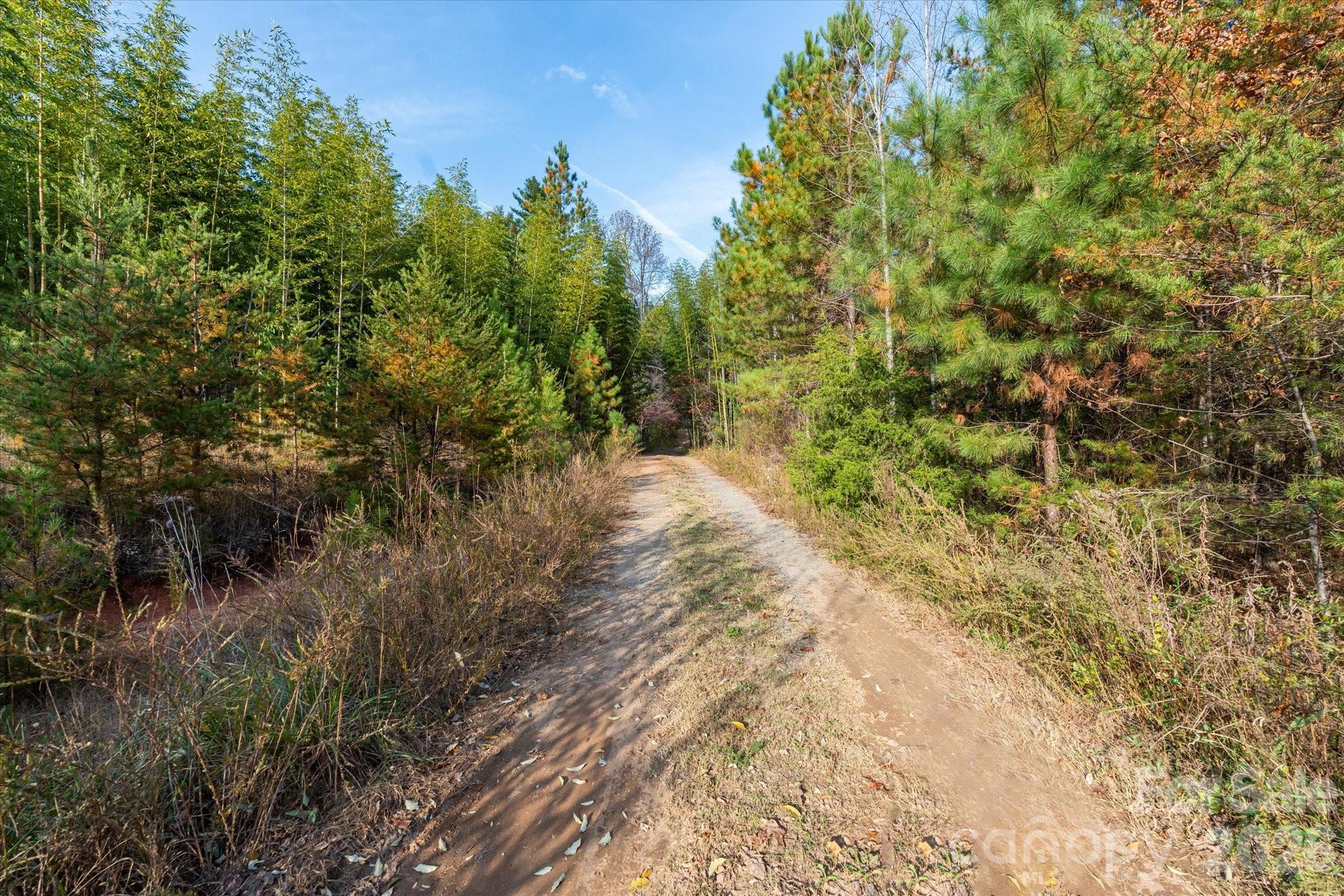 1888 Pea Ridge Road — Mill Spring