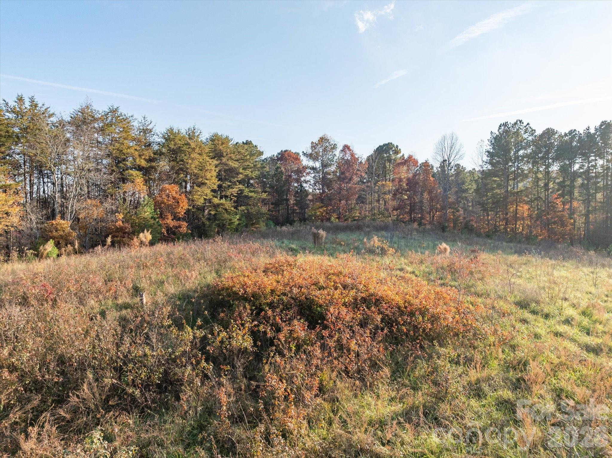 1888 Pea Ridge Road — Mill Spring