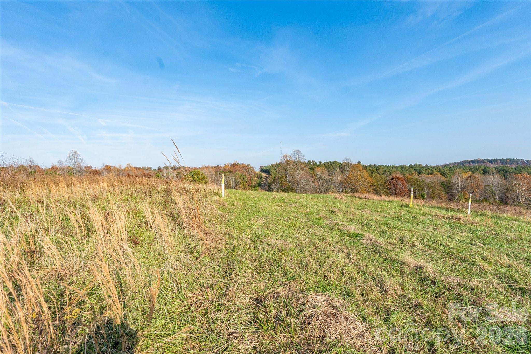 1888 Pea Ridge Road — Mill Spring