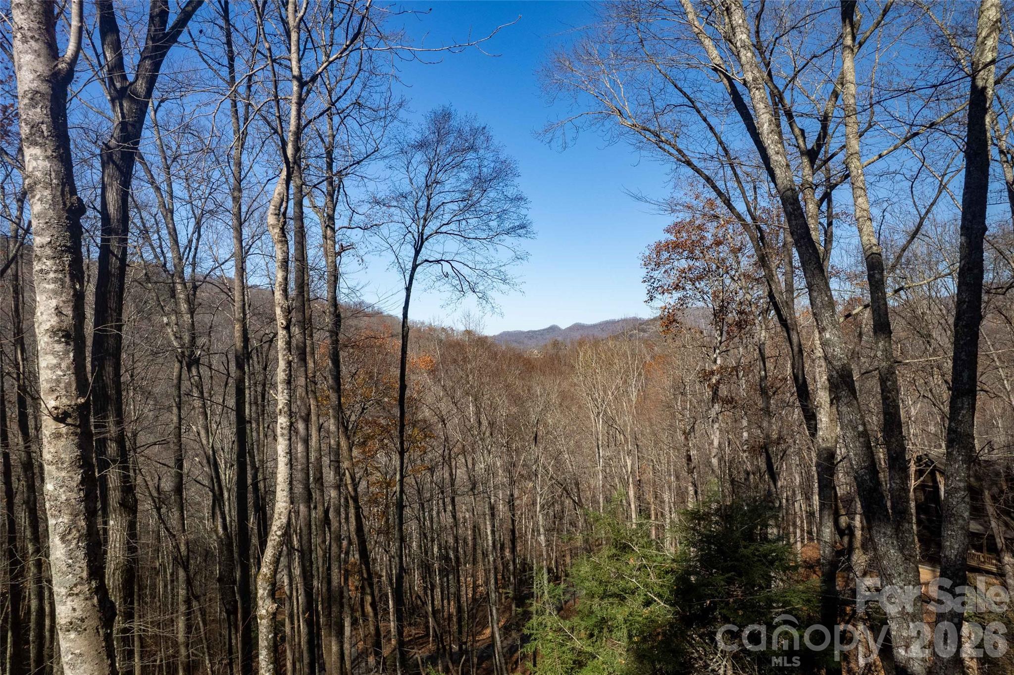 126 Mossycup Court — Tuckasegee