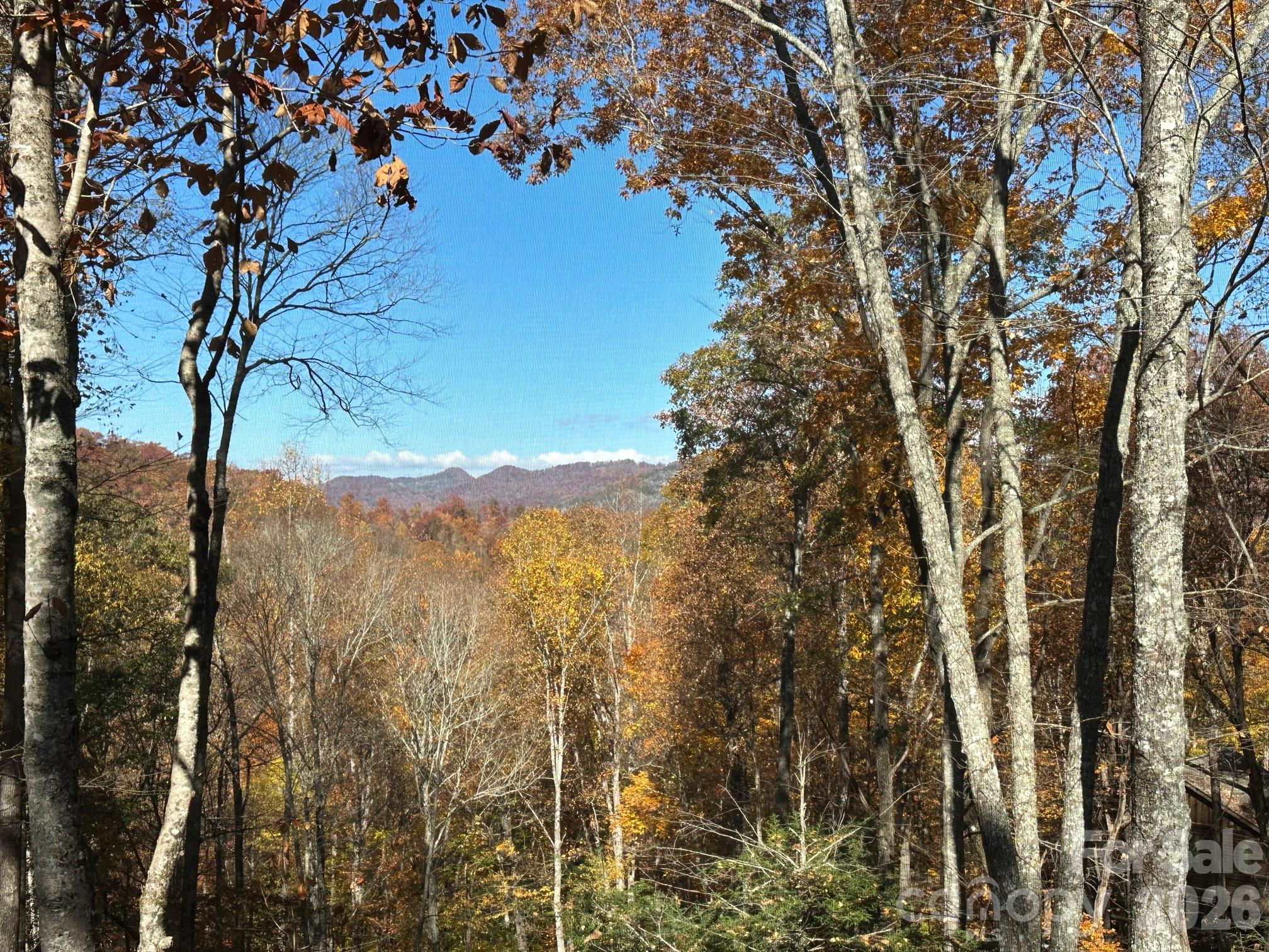126 Mossycup Court — Tuckasegee