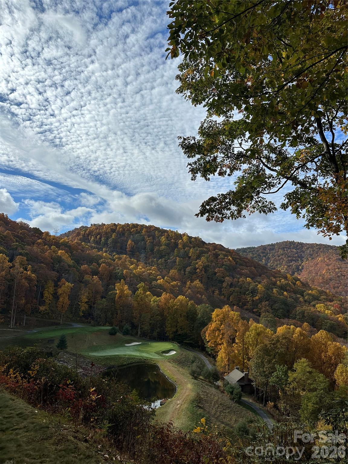 126 Mossycup Court — Tuckasegee