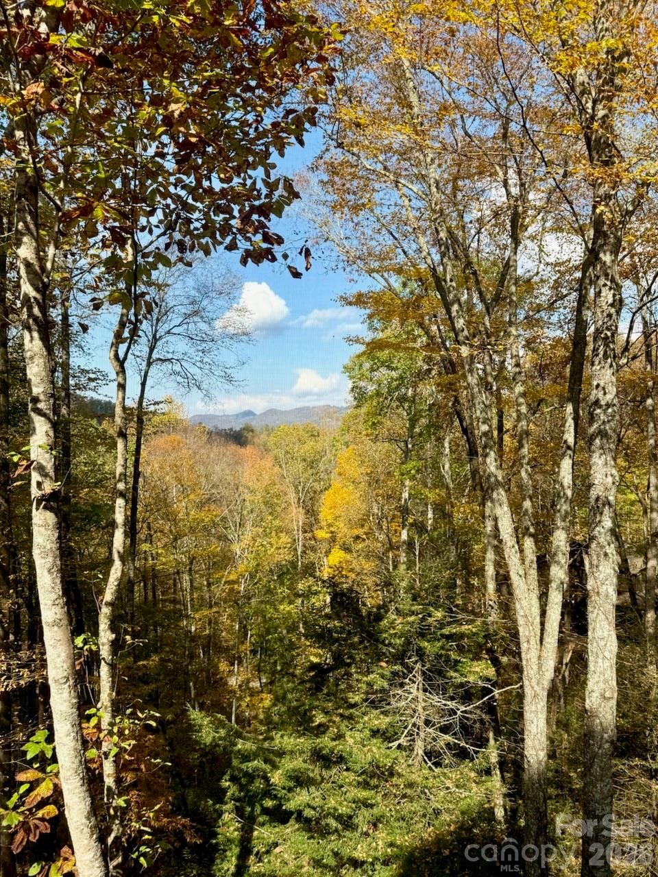 126 Mossycup Court — Tuckasegee