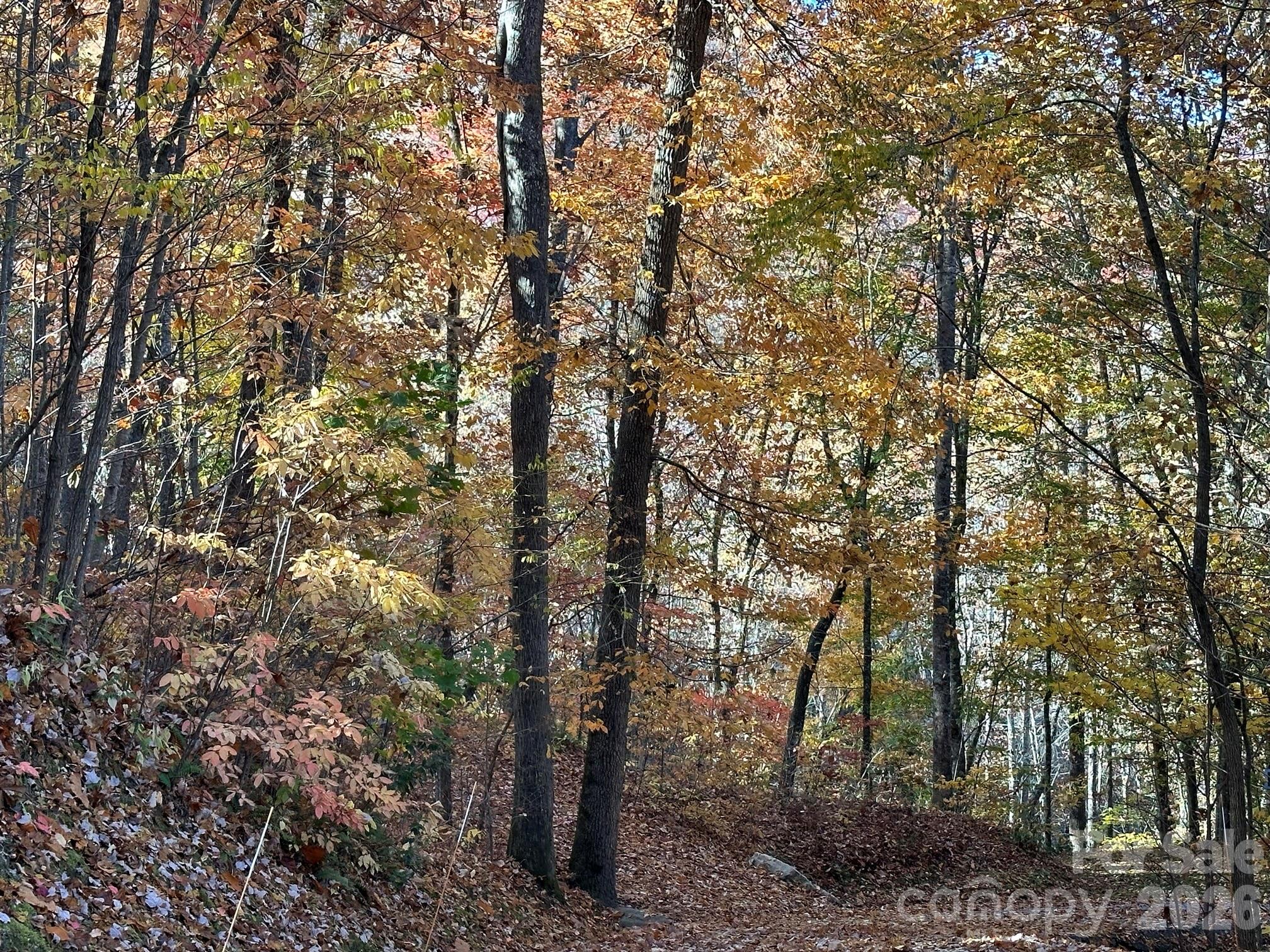 126 Mossycup Court — Tuckasegee