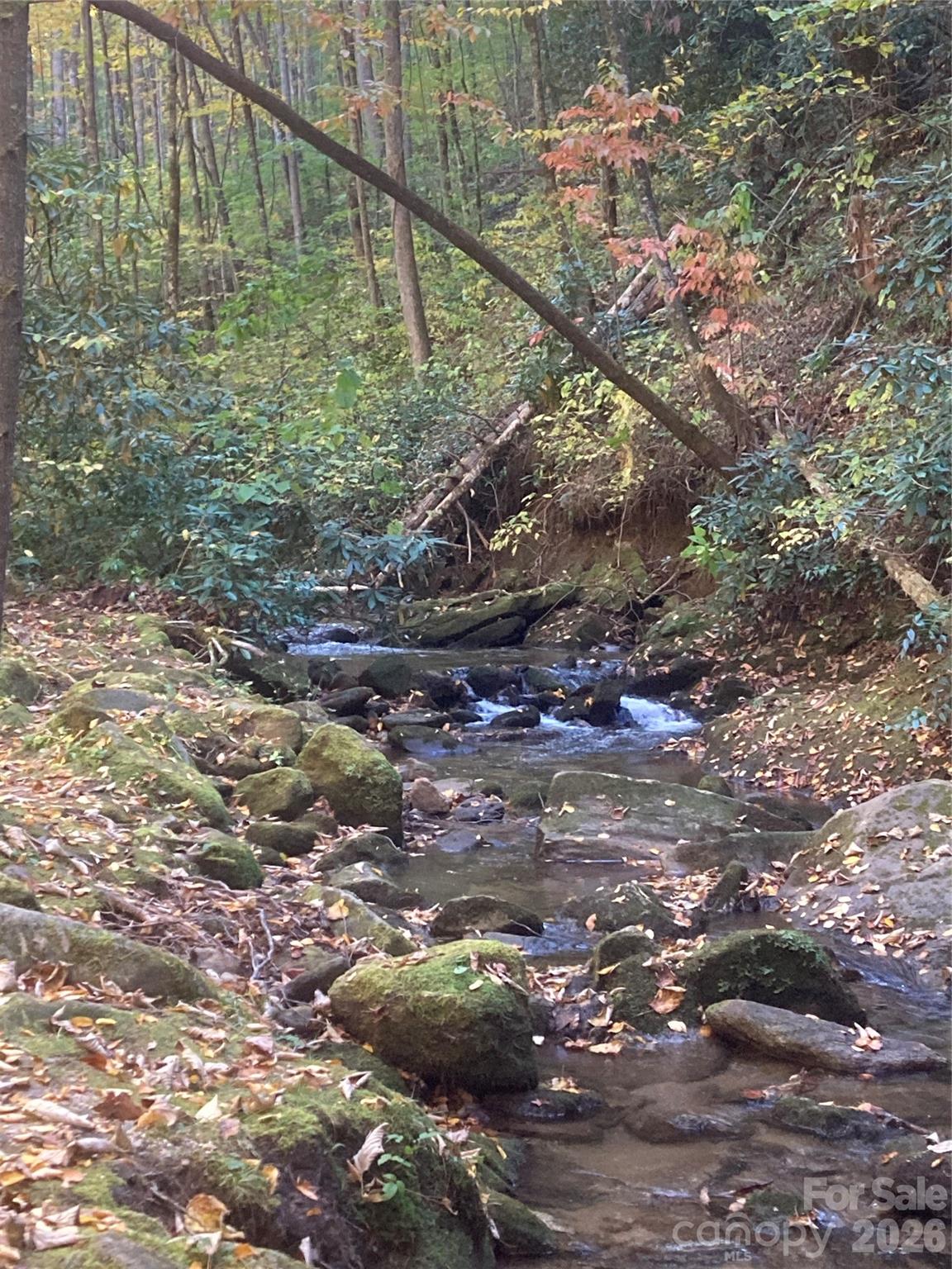 126 Mossycup Court — Tuckasegee