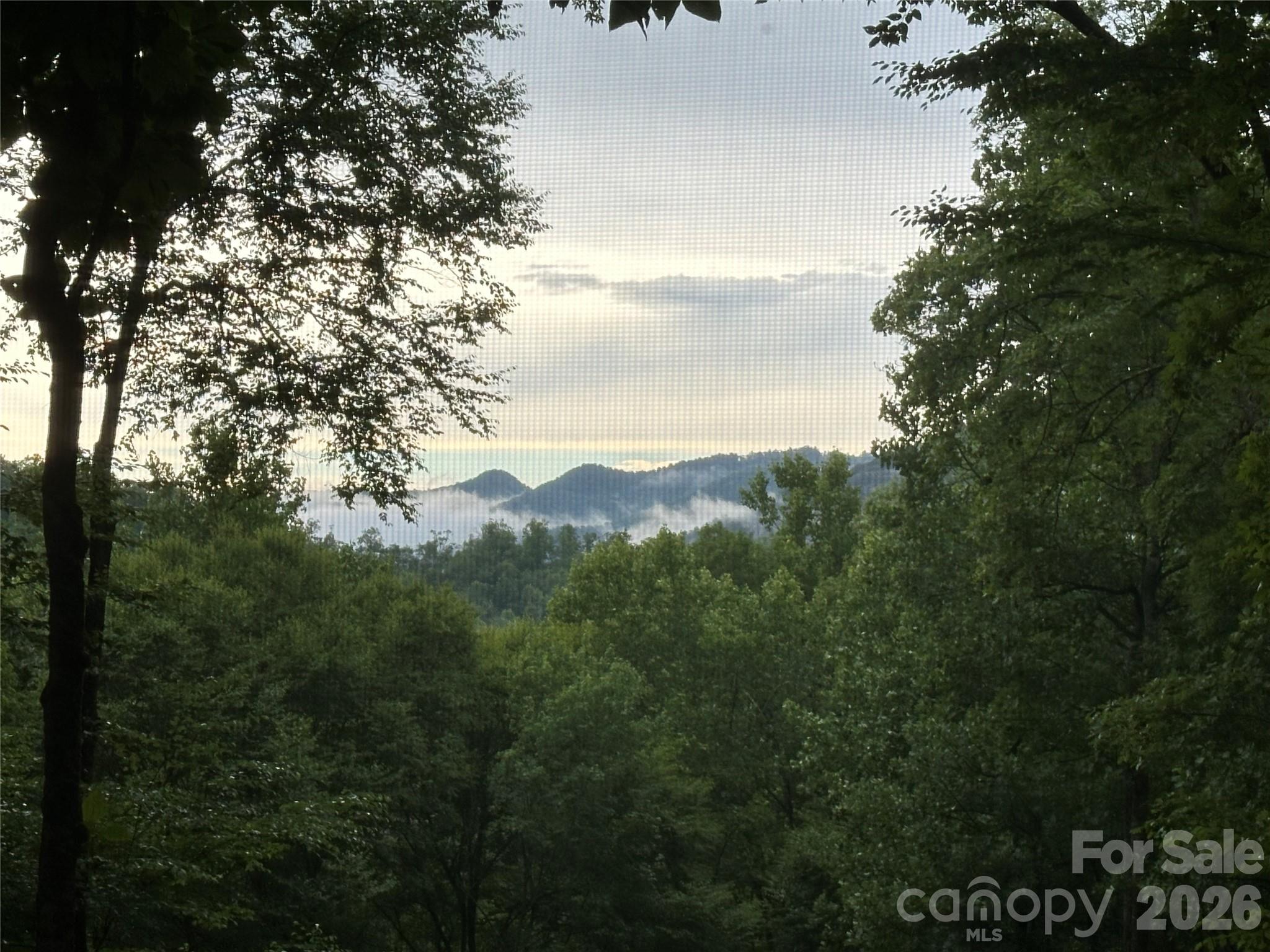 126 Mossycup Court — Tuckasegee