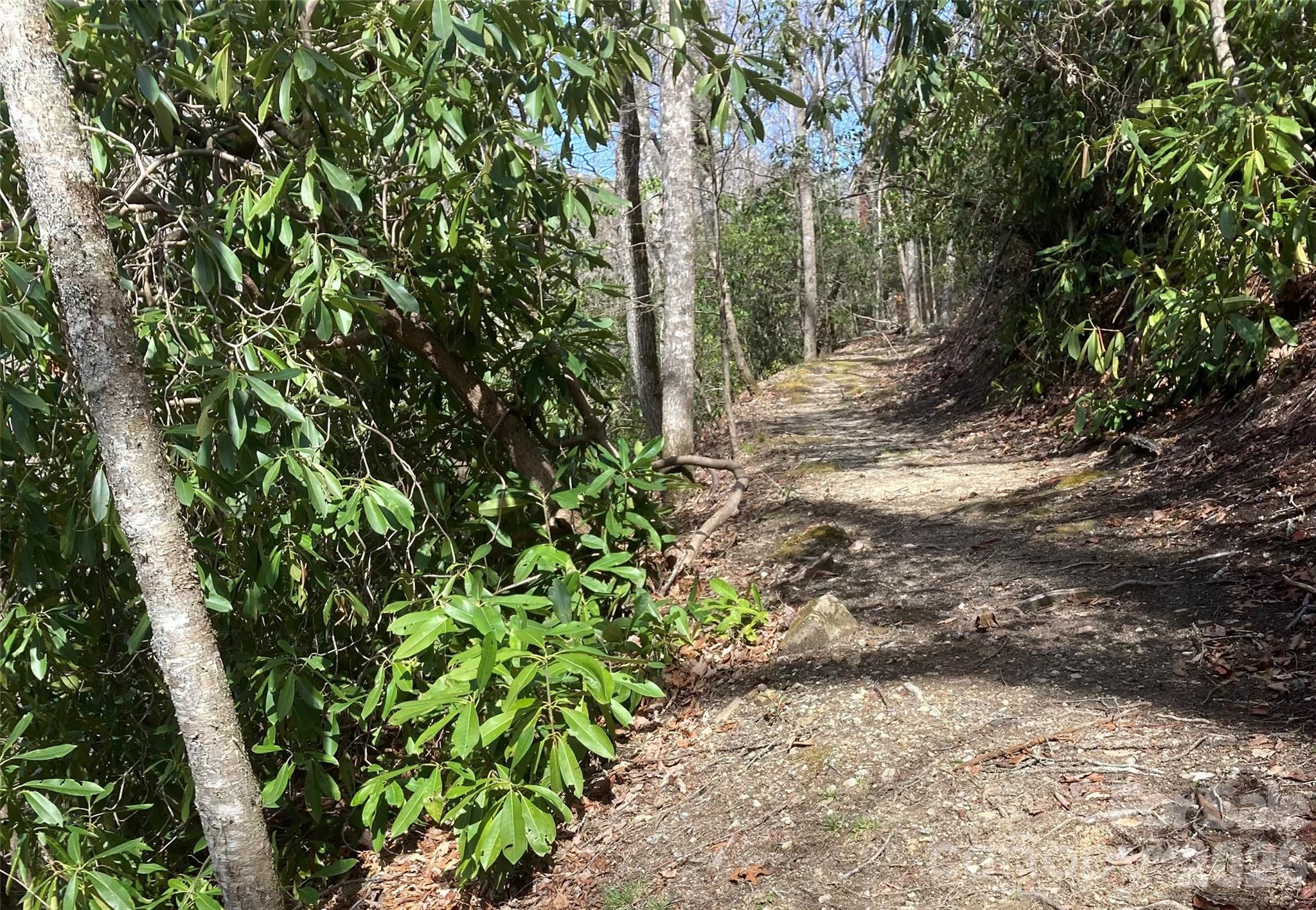 126 Mossycup Court — Tuckasegee