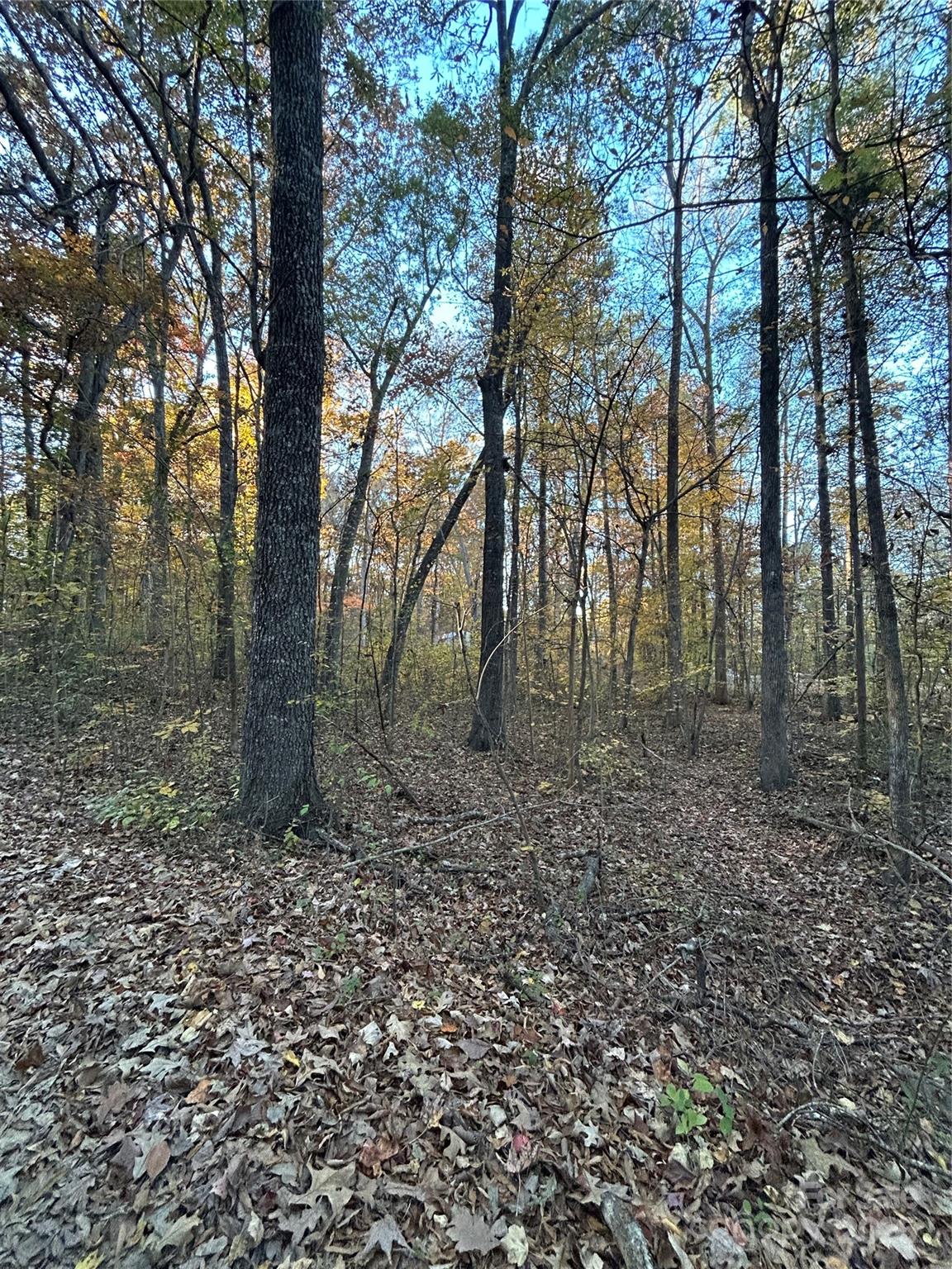 260 Joy Circle — Salisbury