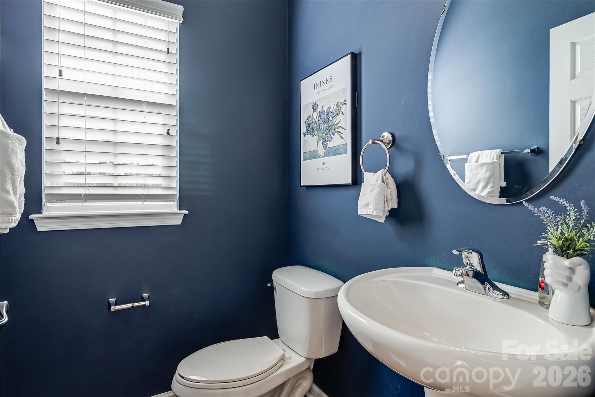 447 Leaf Arbor Court — Lake Wylie