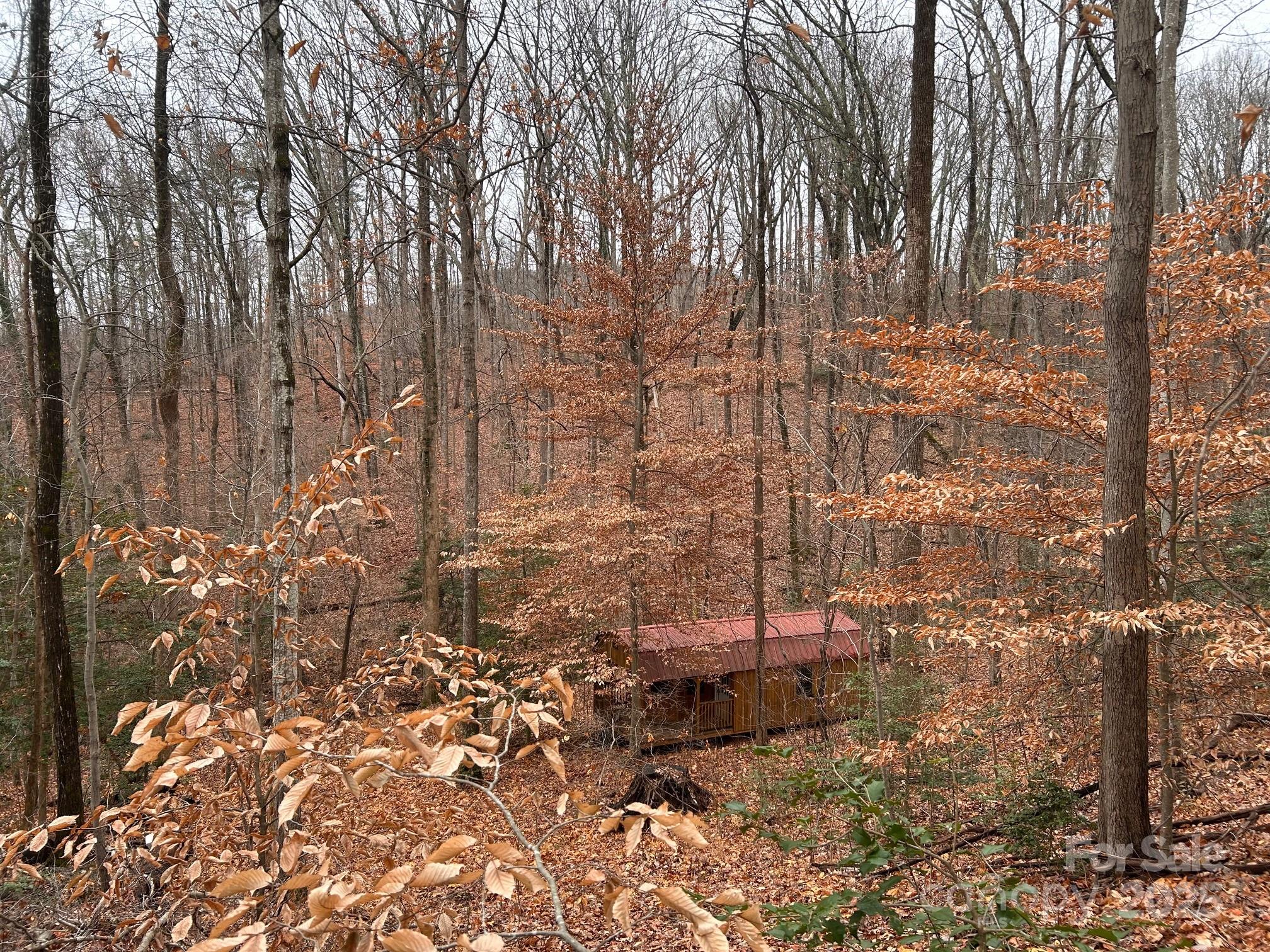 629 Vineyard Road — Tryon