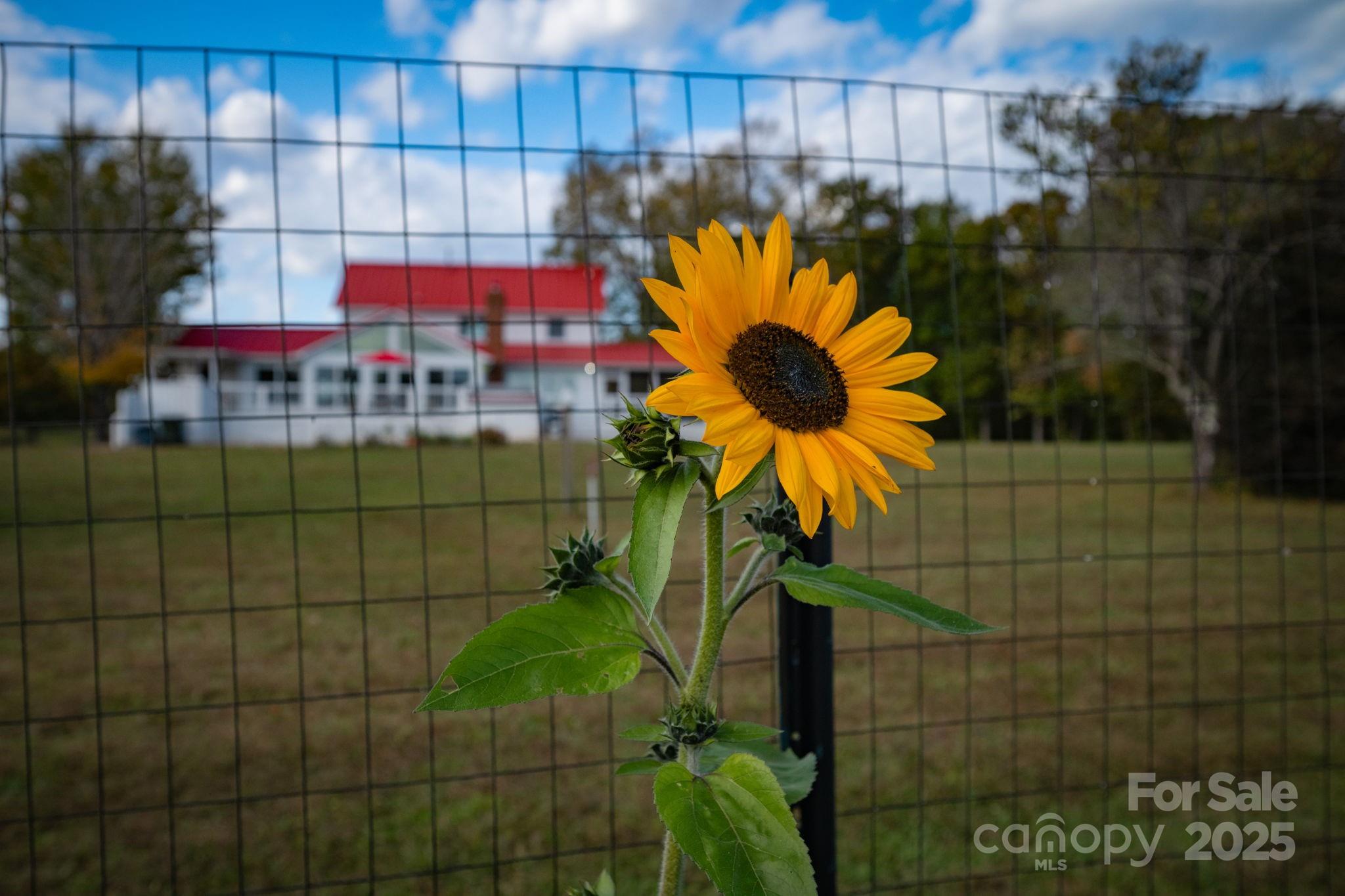 1260 Beaver Island Trail Road — Walnut Cove