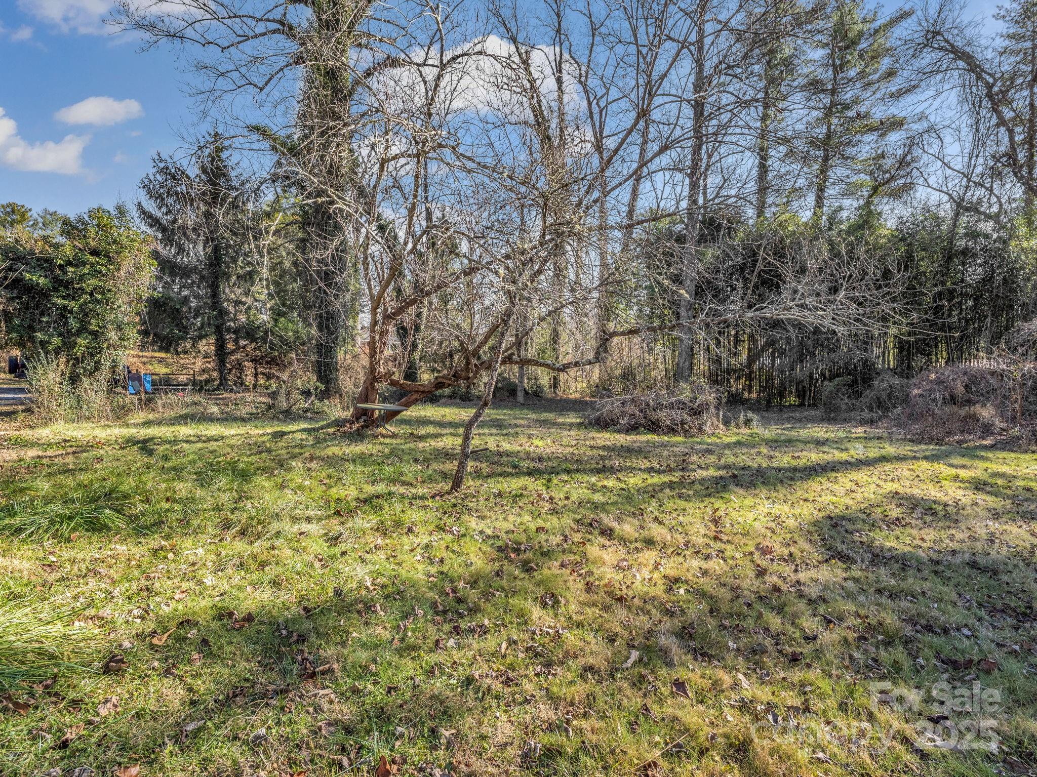 541 Broadway Street — Hendersonville
