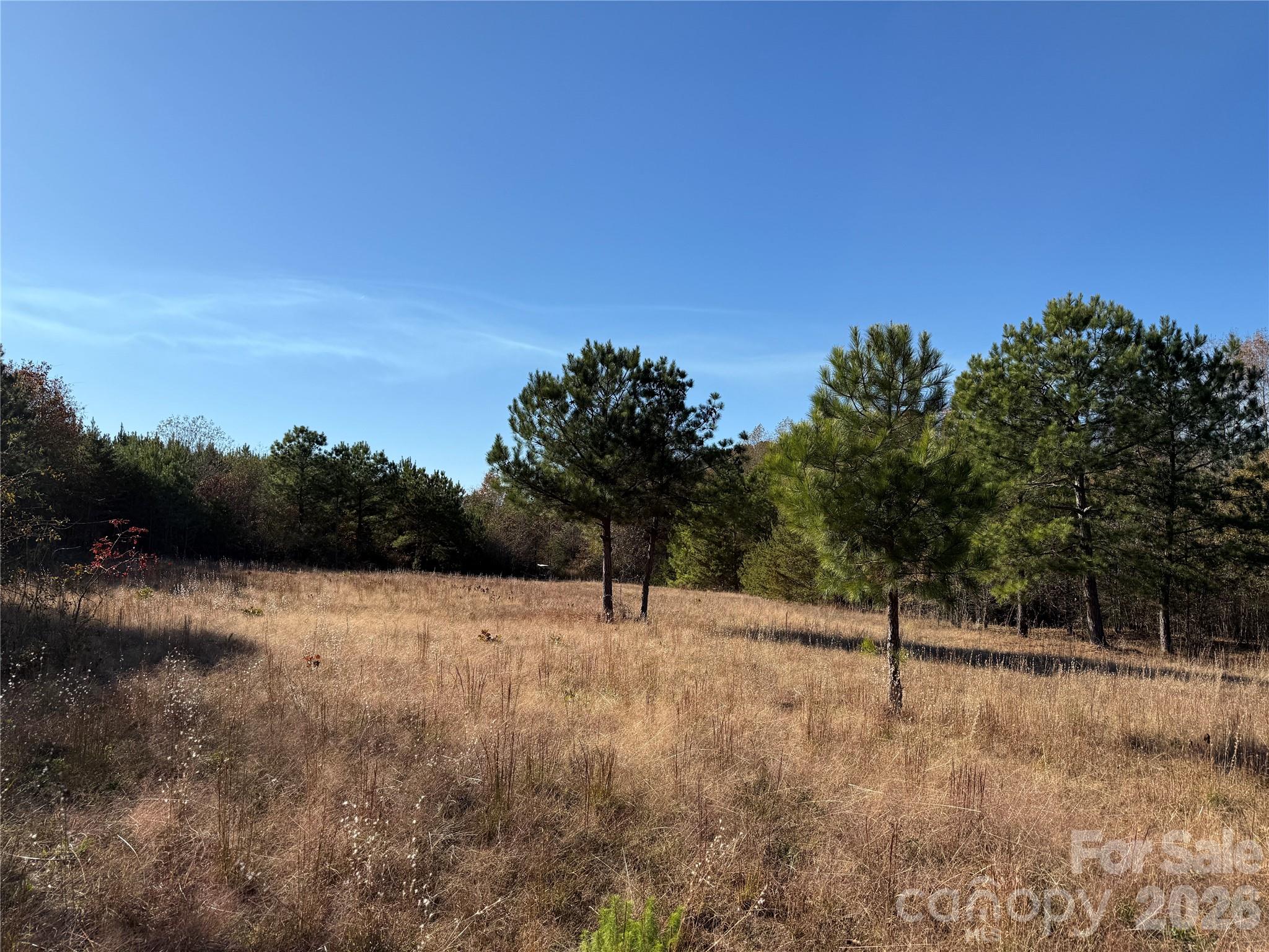164 Haines Road — Jackson Springs