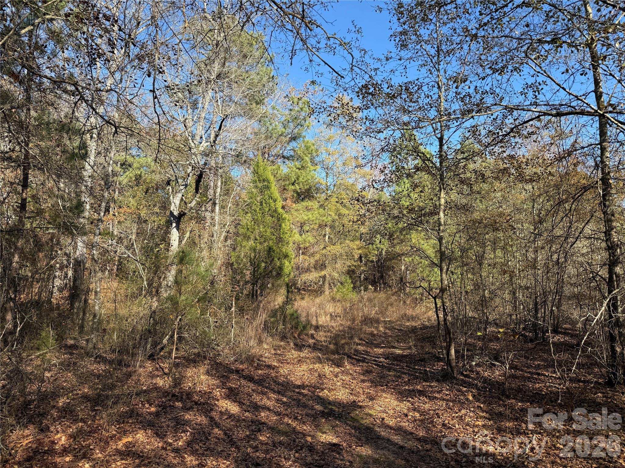 164 Haines Road — Jackson Springs