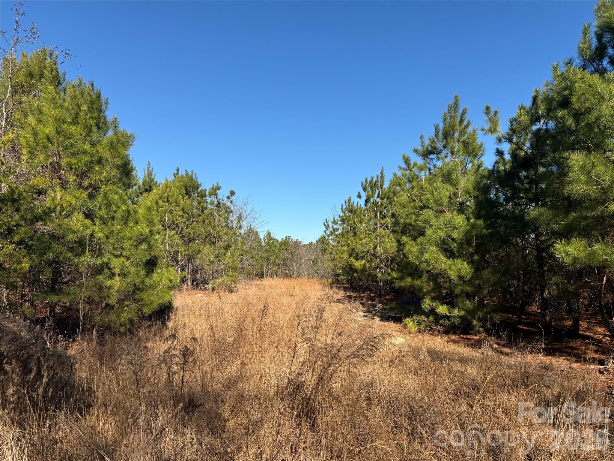 164 Haines Road — Jackson Springs