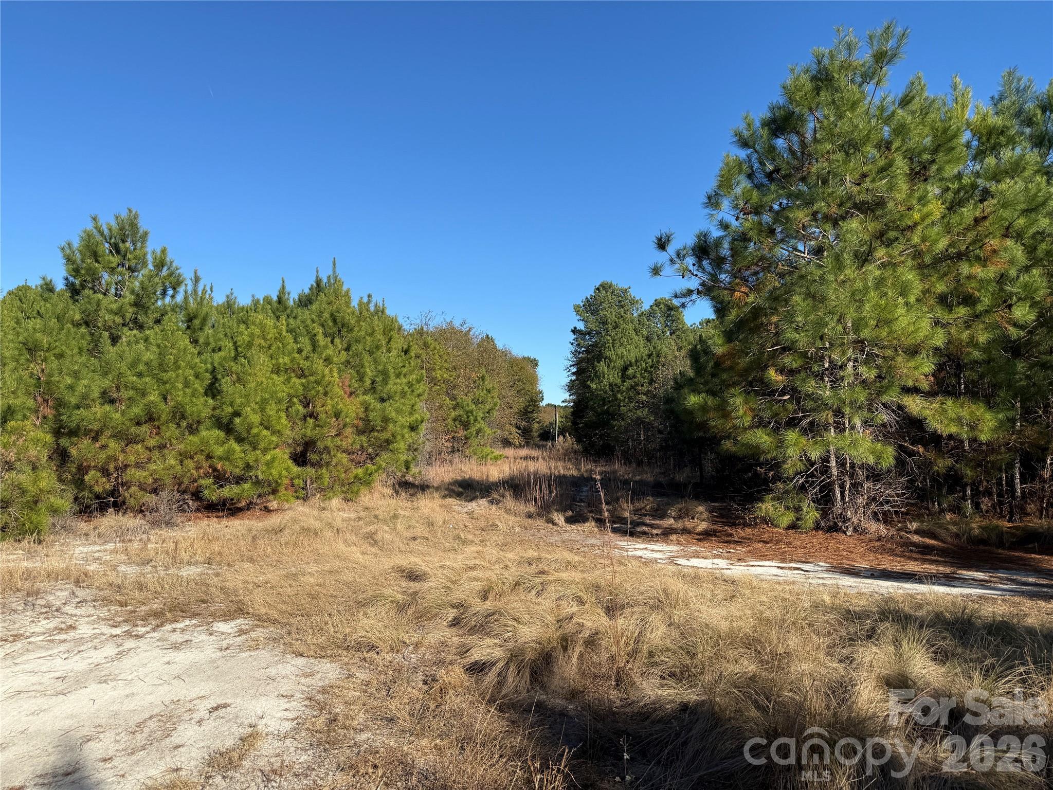 164 Haines Road — Jackson Springs