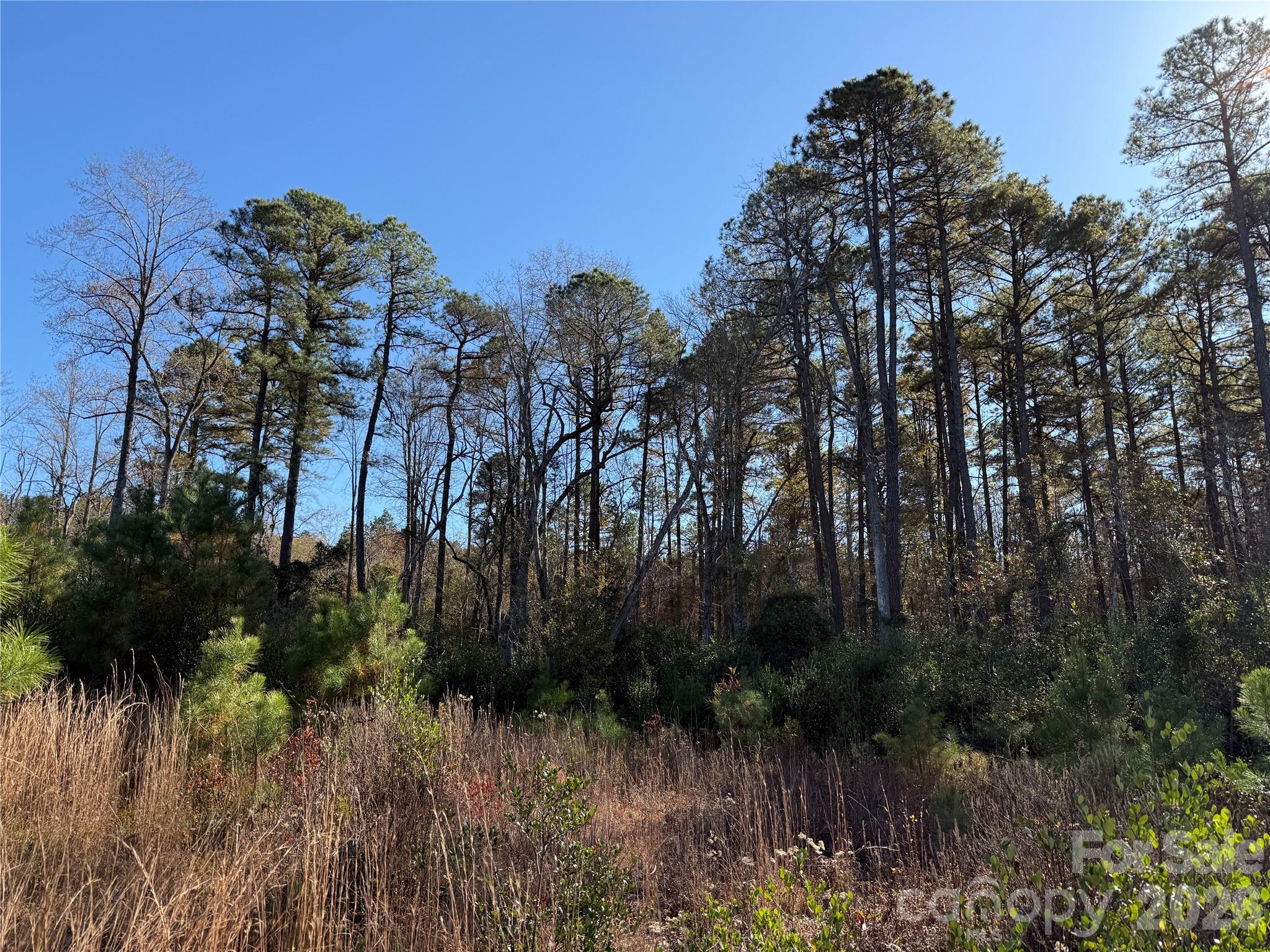 164 Haines Road — Jackson Springs