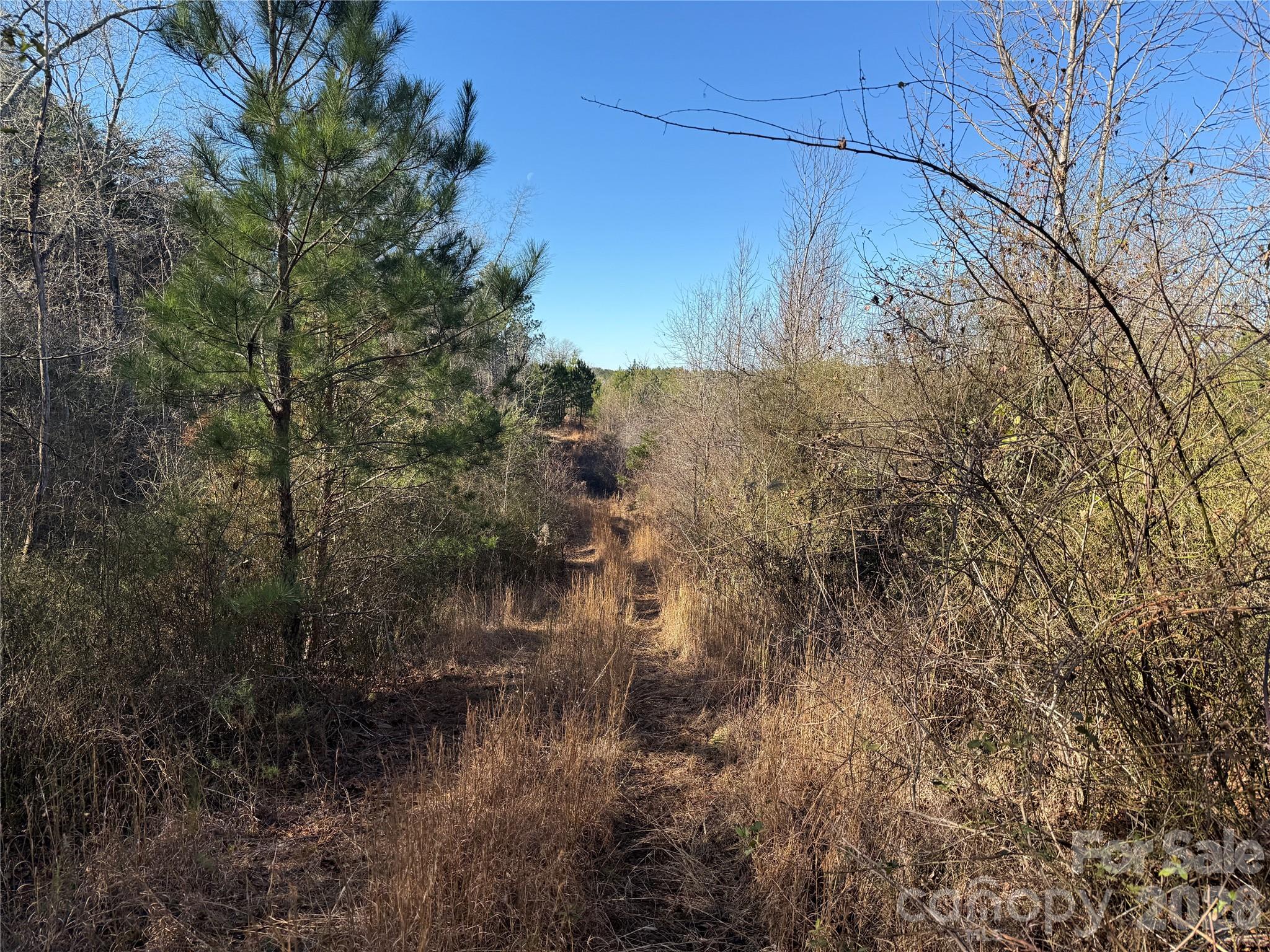 164 Haines Road — Jackson Springs