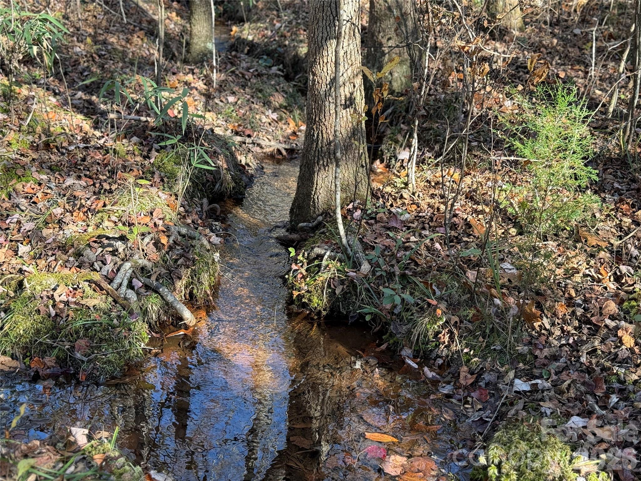 164 Haines Road — Jackson Springs