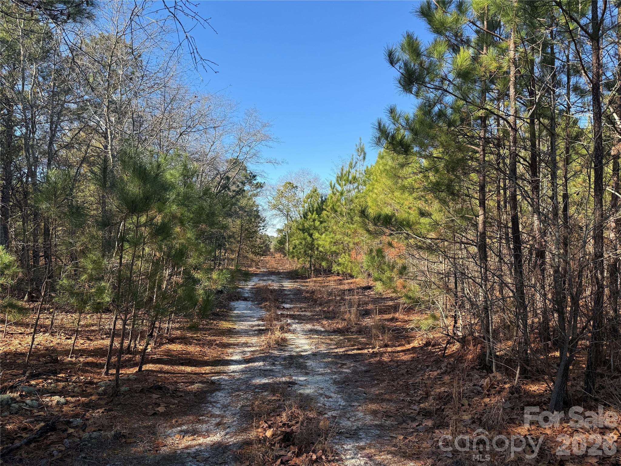 164 Haines Road — Jackson Springs